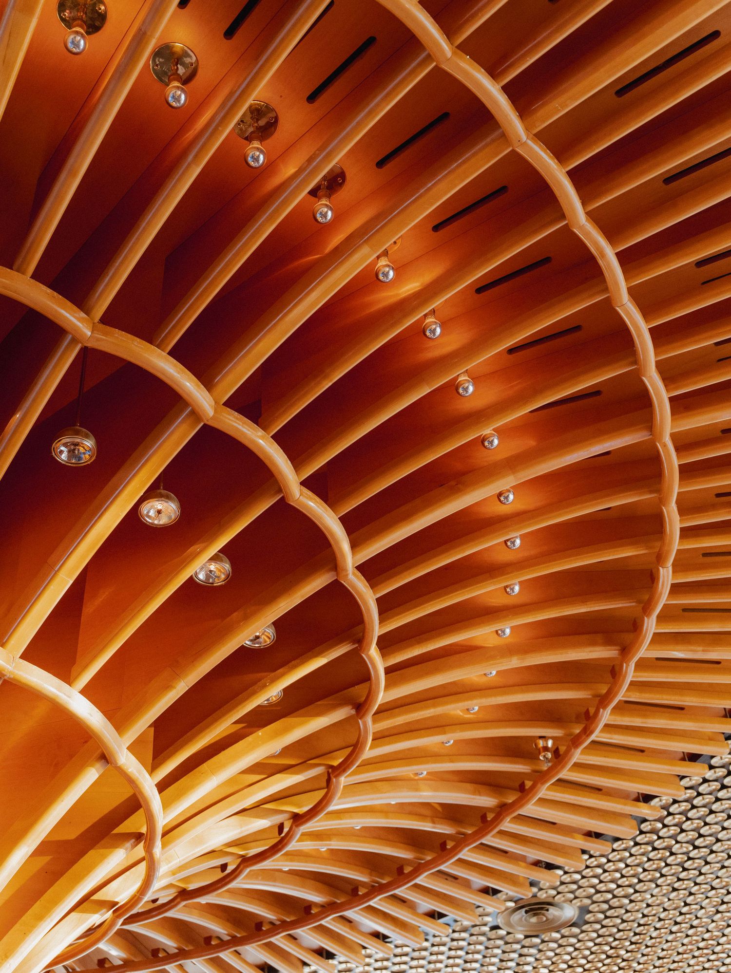 Architectural detail of curved wooden ceiling beams with modern lighting fixtures.