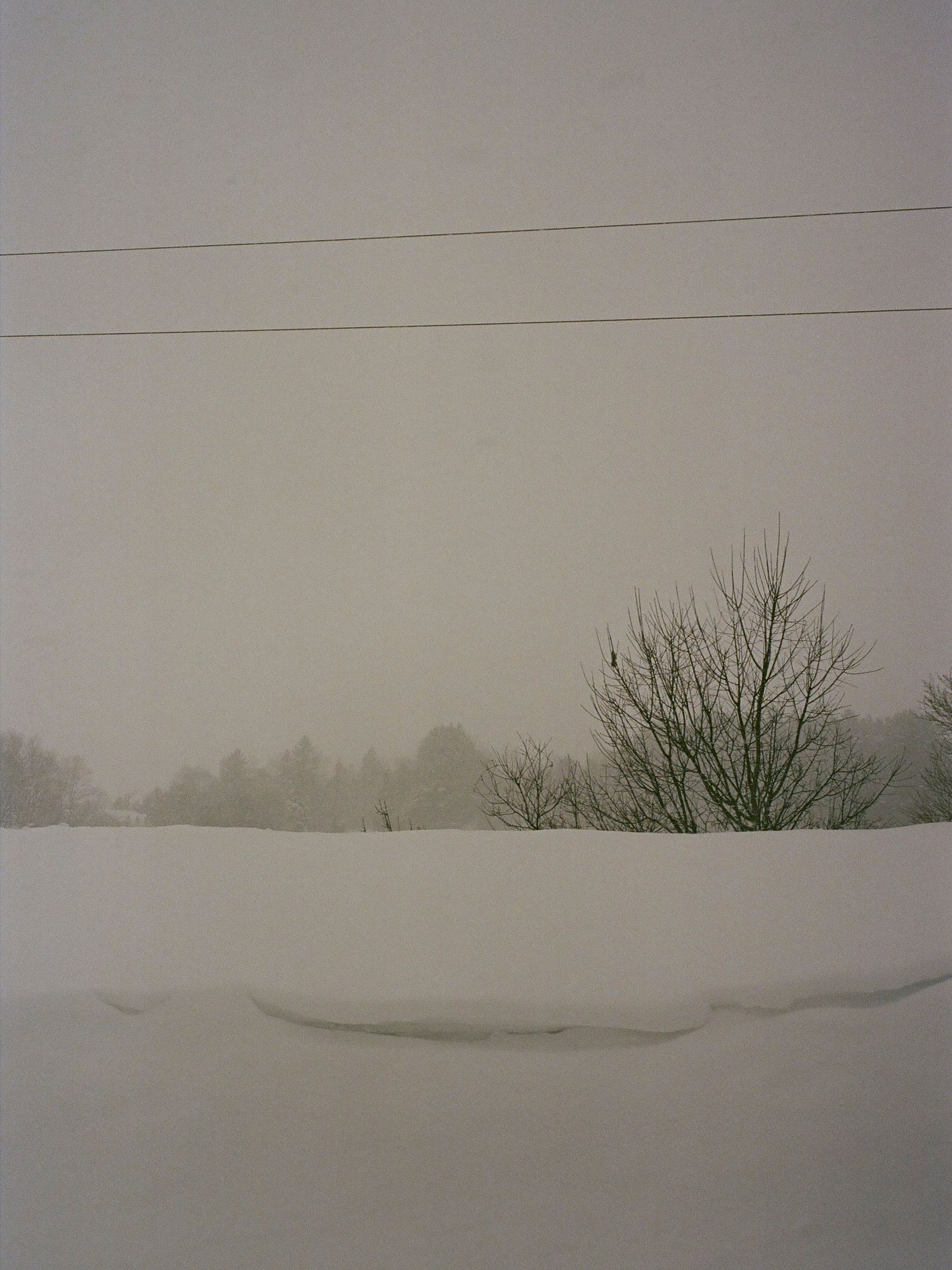 Serene winter landscape with snow-covered fields and distant trees in muted tones.