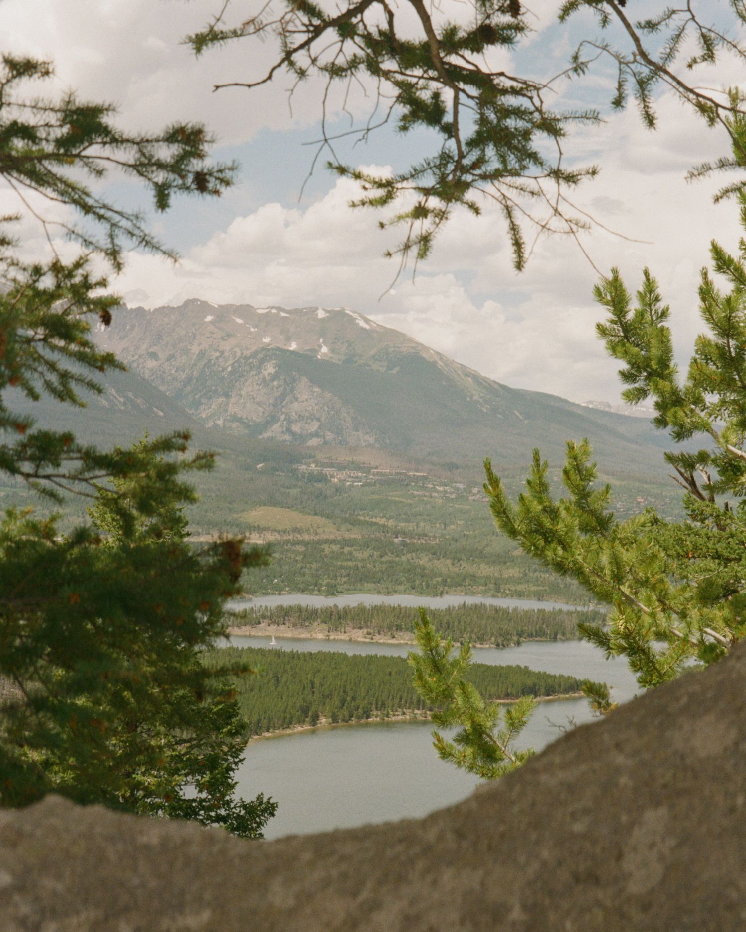 Mountain landscape with pine trees framing a view of lakes and snow-capped peaks in the distance.