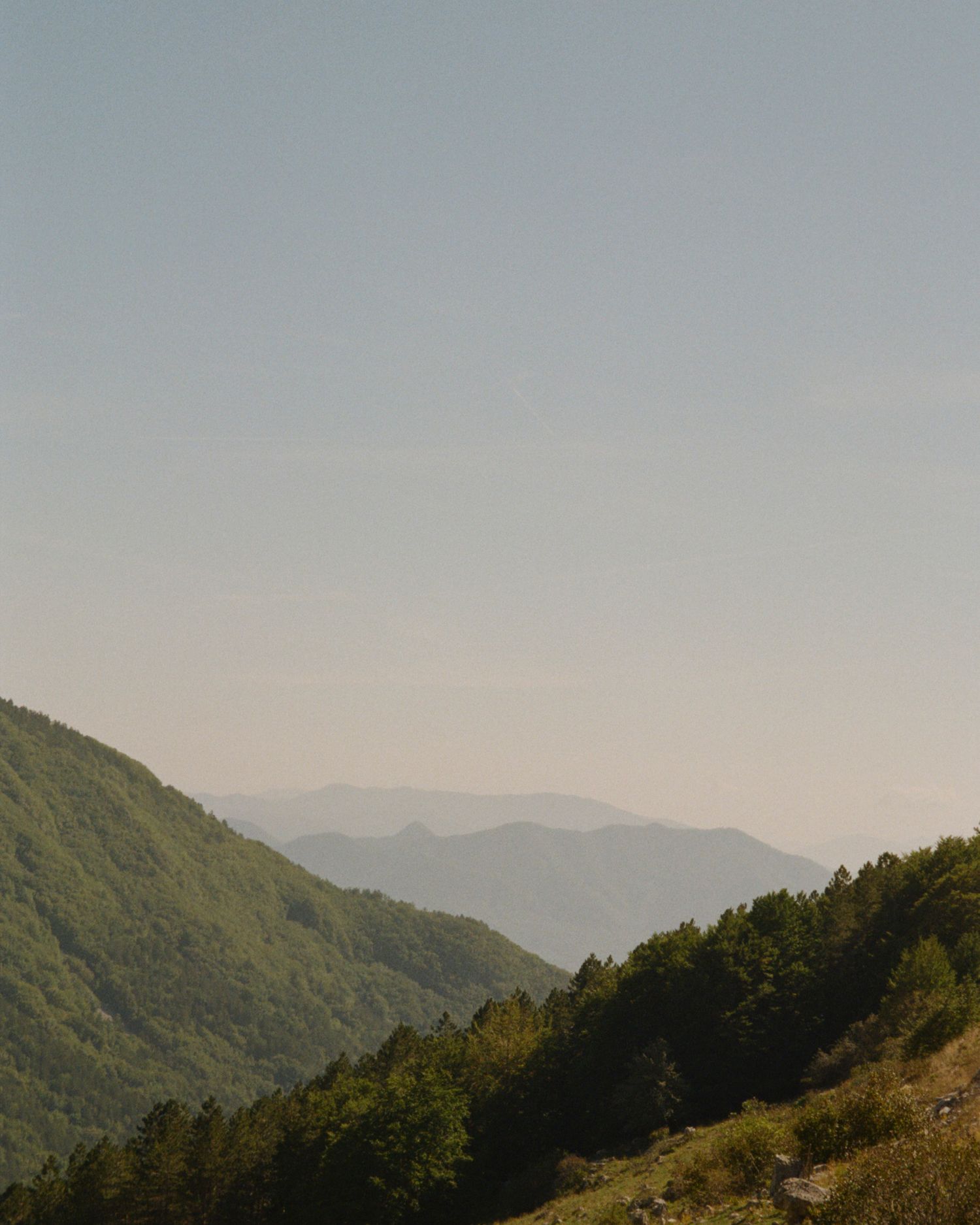 Scenic mountain landscape with rolling hills covered in forest during sunset.