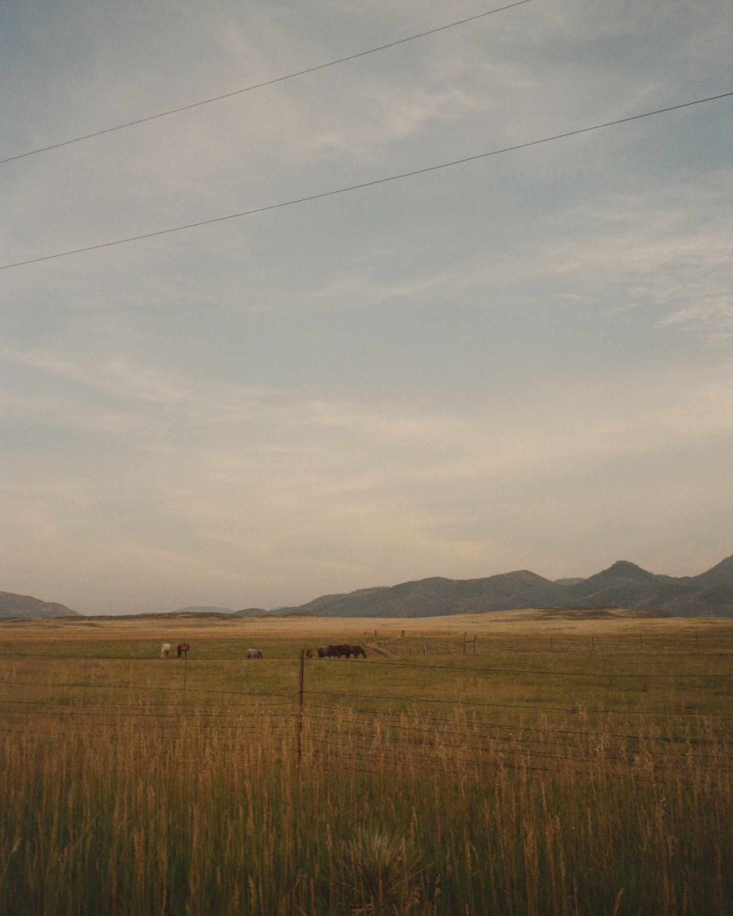 Panoramic view of a vast grassland prairie with mountains in the distance at dusk.