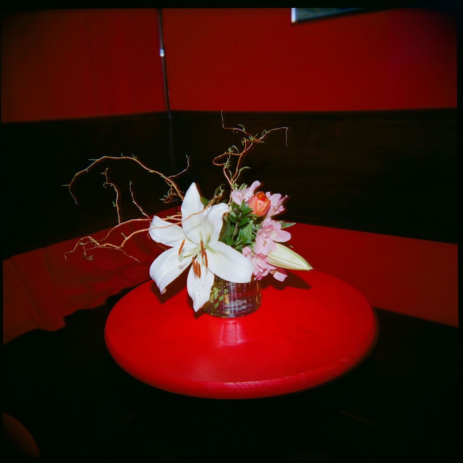 White lilies arranged on a bright red table surface in moody lighting.