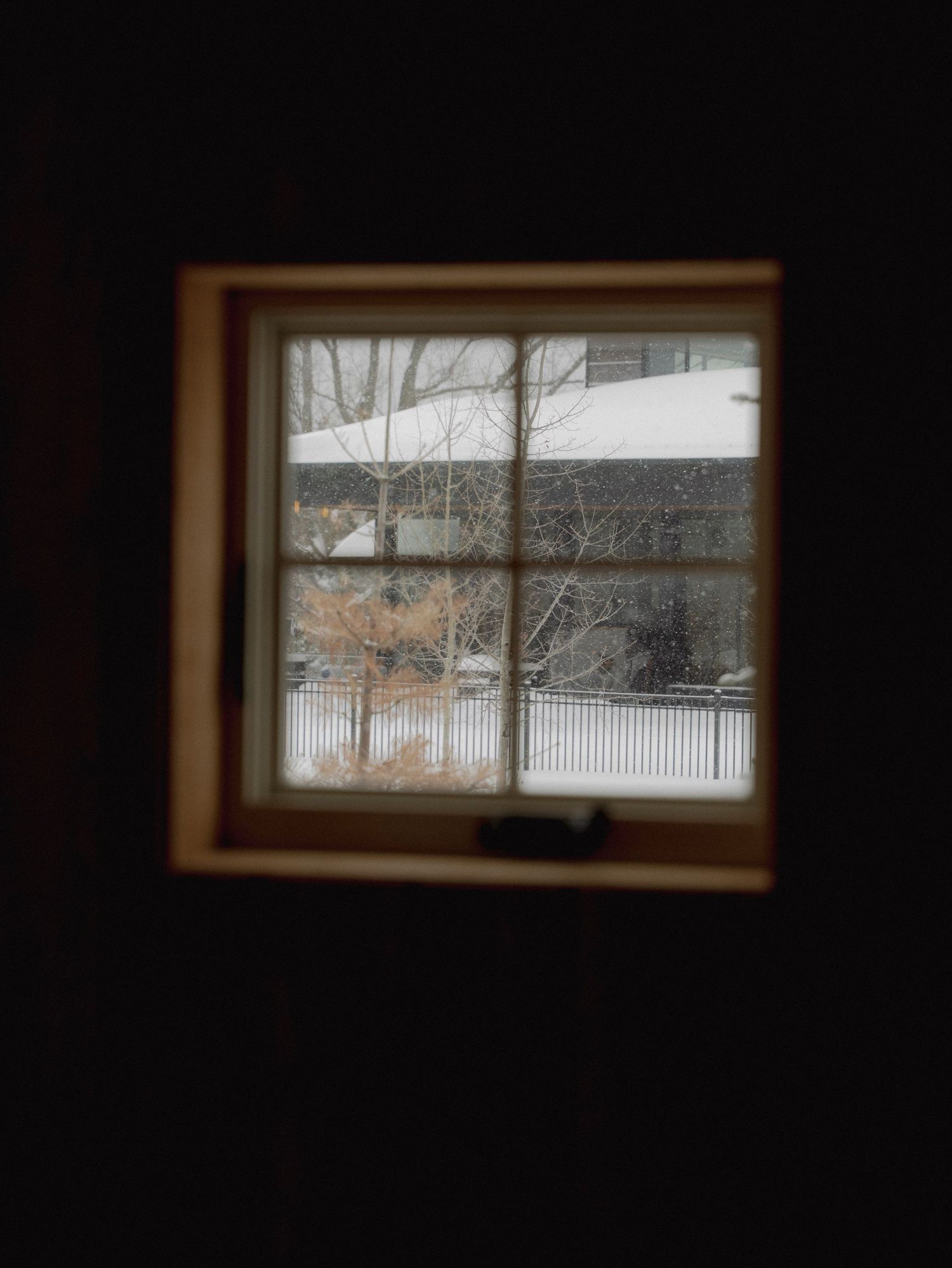 A row of windows frames a snowy winter landscape view.