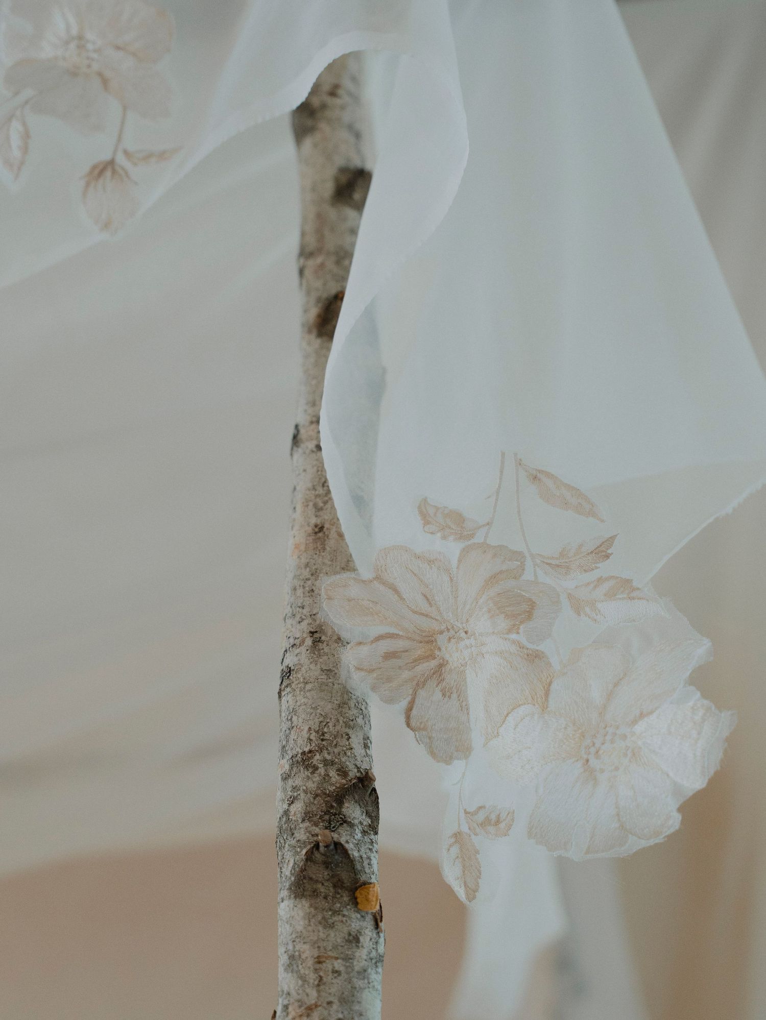 Delicate white fabric with floral embroidery draped over a birch branch.
