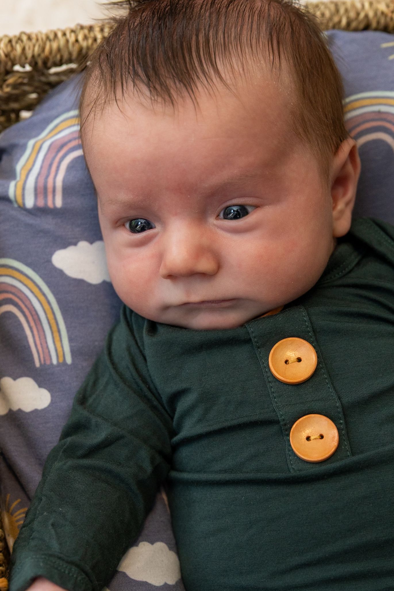 Central Iowa Photographer | Des Moines Iowa Photographer | Des Moines Family Photographer | Iowa Newborn Photographer | Des Moines, Iowa