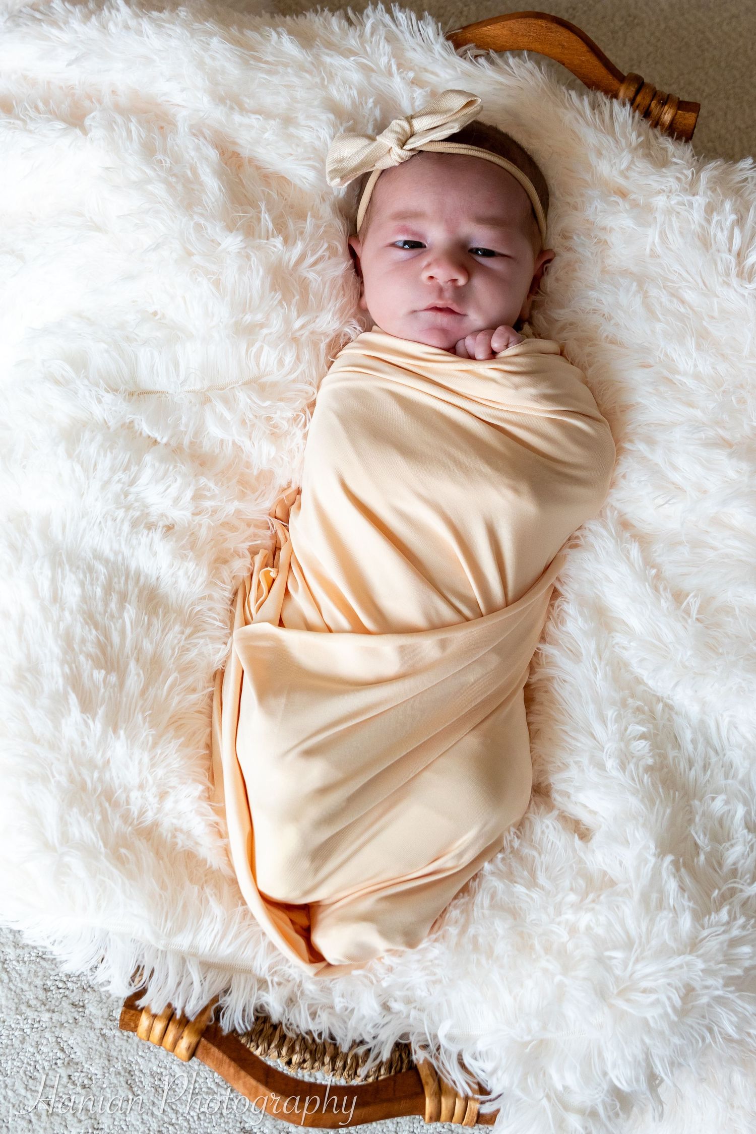 Des Moines & Central Iowa Newborn Photographer