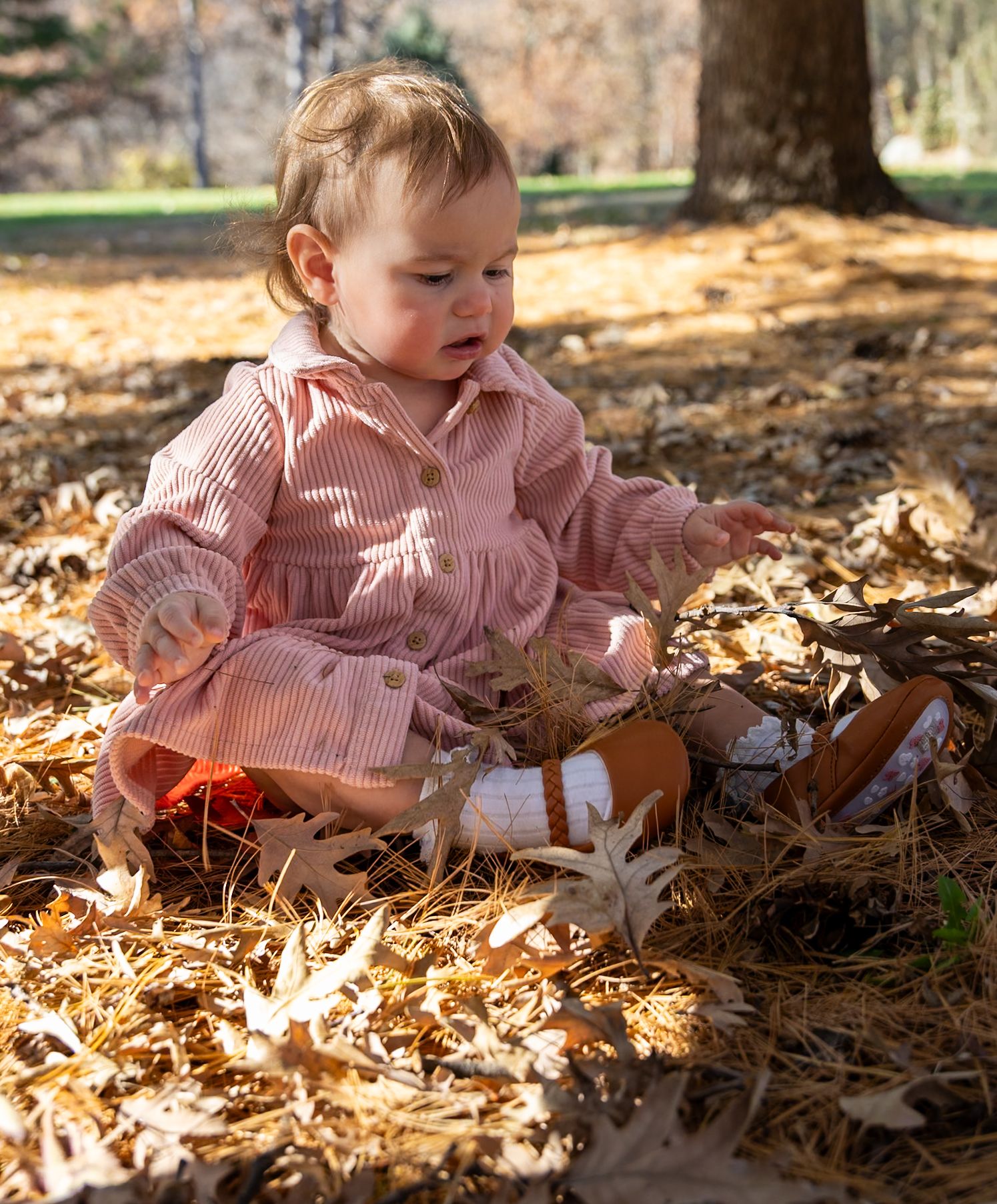 Central Iowa Photographer | Des Moines Iowa Photographer | Des Moines Family Photographer | Iowa Photographer | Des Moines, Iowa