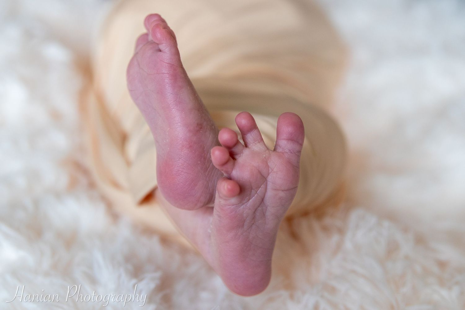 Central Iowa Photographer | Des Moines Iowa Photographer | Des Moines Newborn Photographer | Iowa Photographer | Des Moines, Iowa