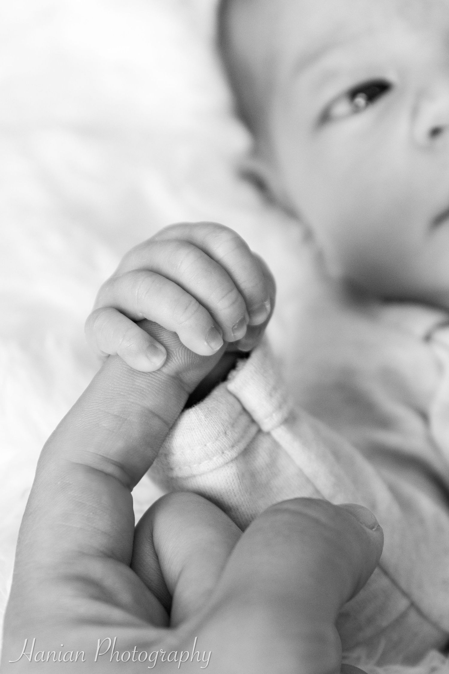 Central Iowa Photographer | Des Moines Iowa Photographer | Des Moines Newborn Photographer | Iowa Photographer | Des Moines, Iowa