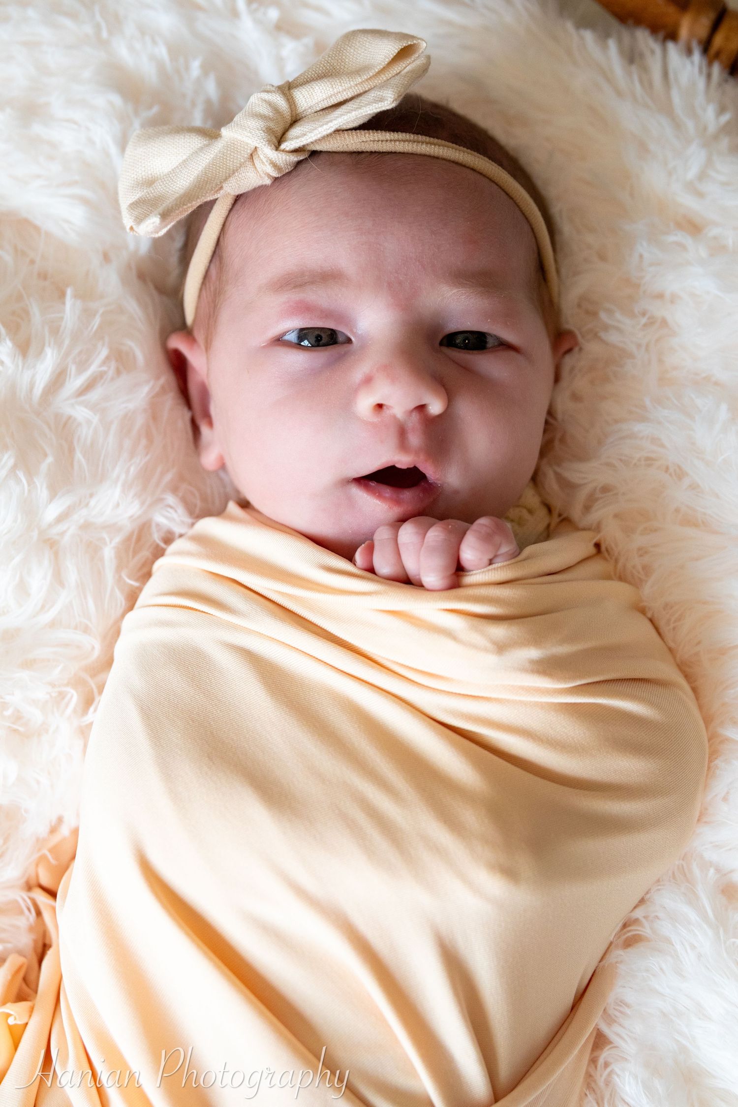 Central Iowa Photographer | Des Moines Iowa Photographer | Des Moines Newborn Photographer | Iowa Photographer | Des Moines, Iowa