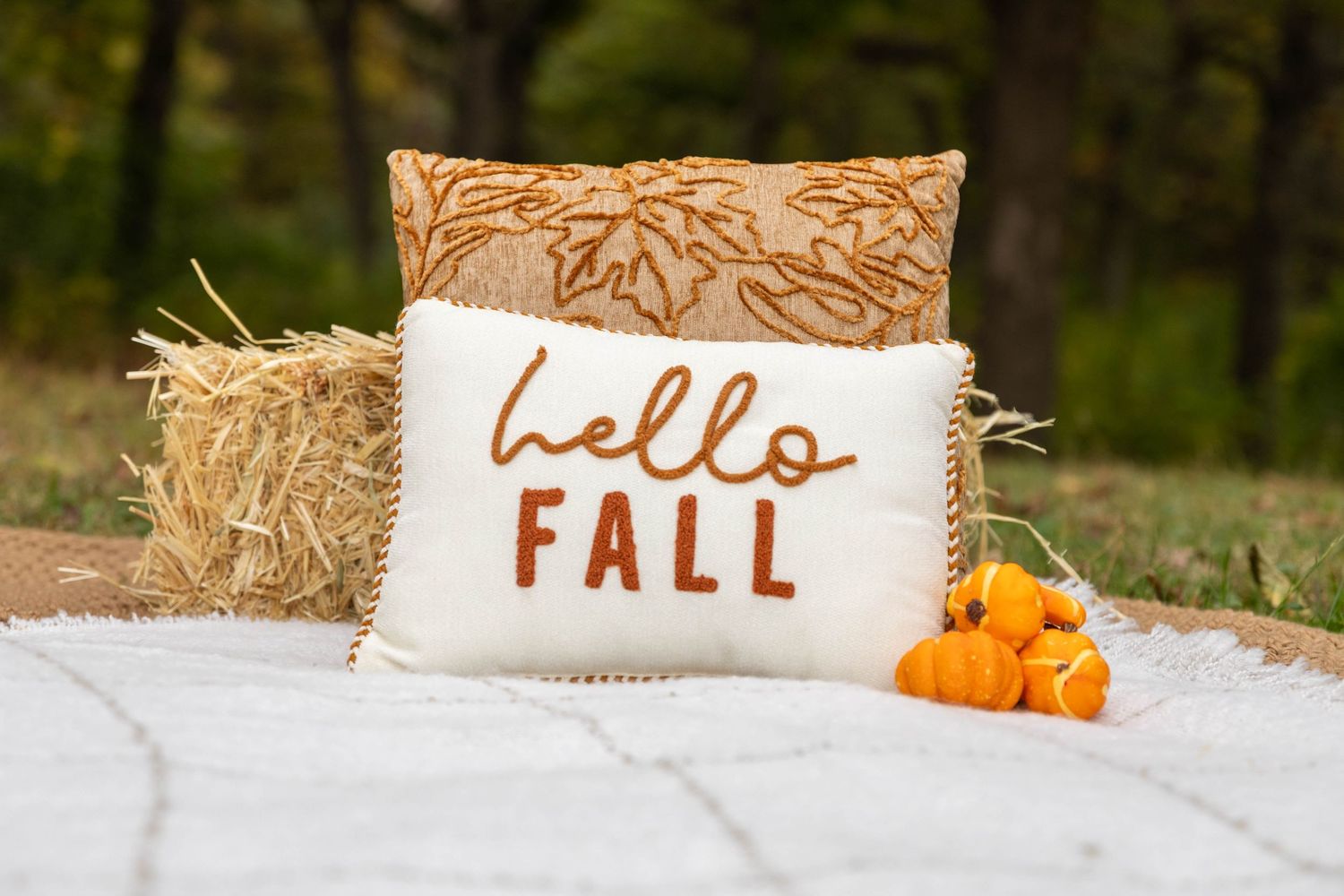 Des Moines Fall Photos | Des Moines Iowa Photographer | Why Fall in Iowa is the best time for photographs | Central Iowa Photographer