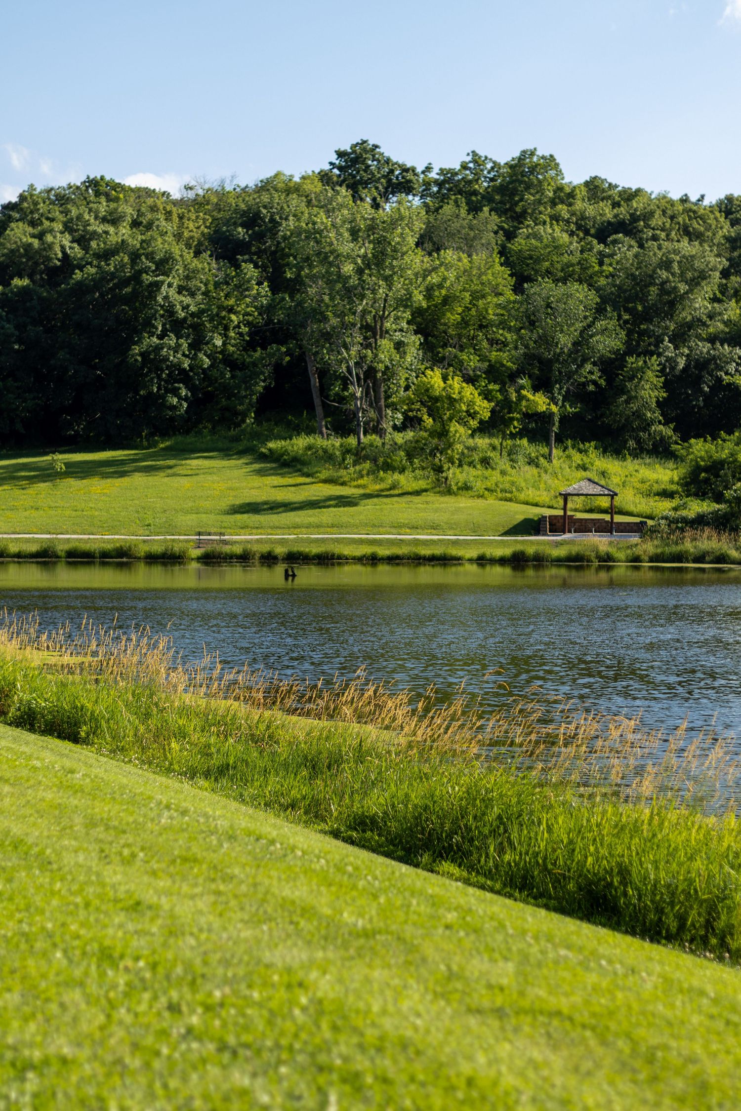 Thomas Mitchell Park | Mitchellville Iowa Photographer