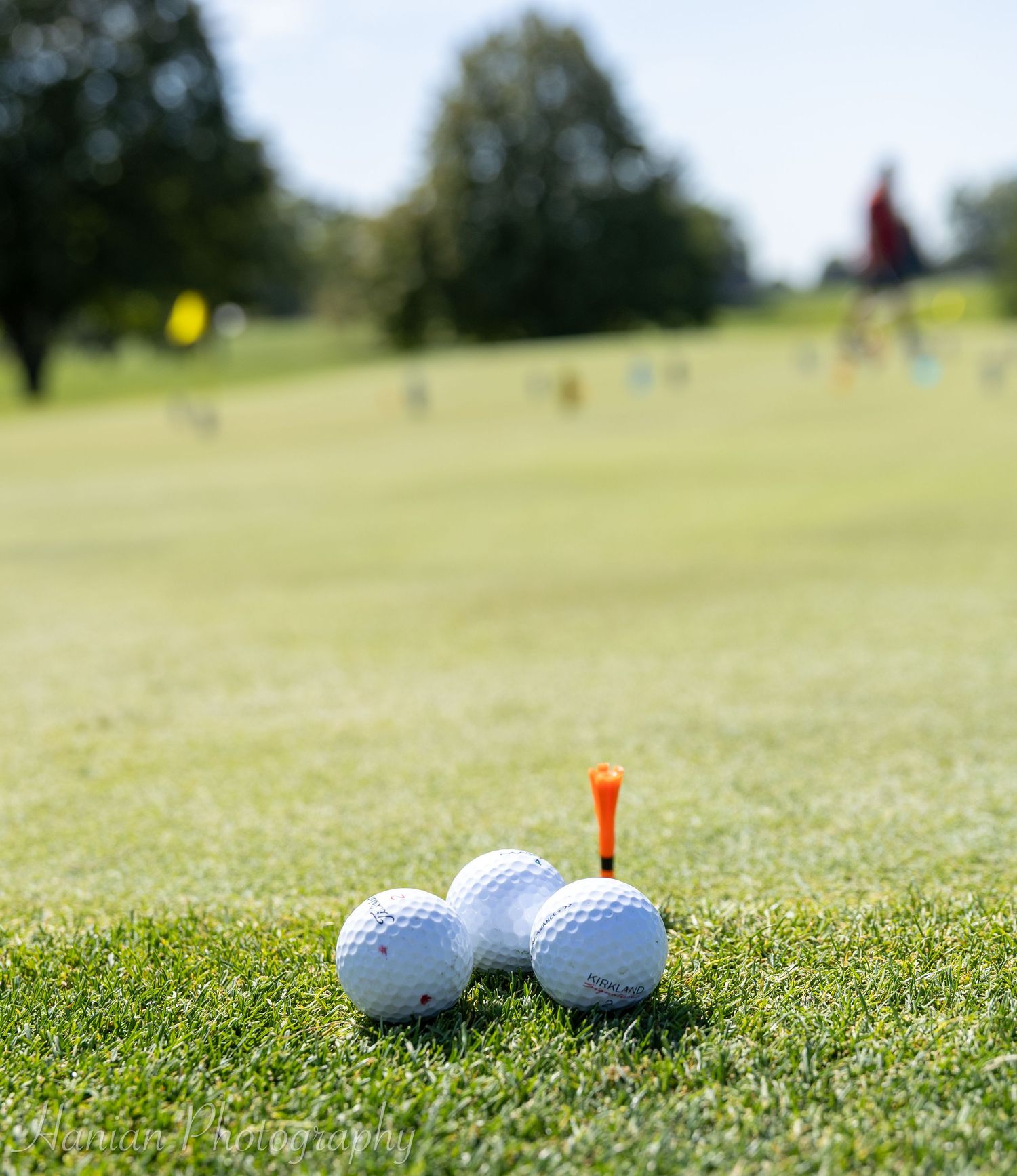 Central Iowa Event Photographer | Bondurant Little League Golf Outing | Des Moines Event Photographer