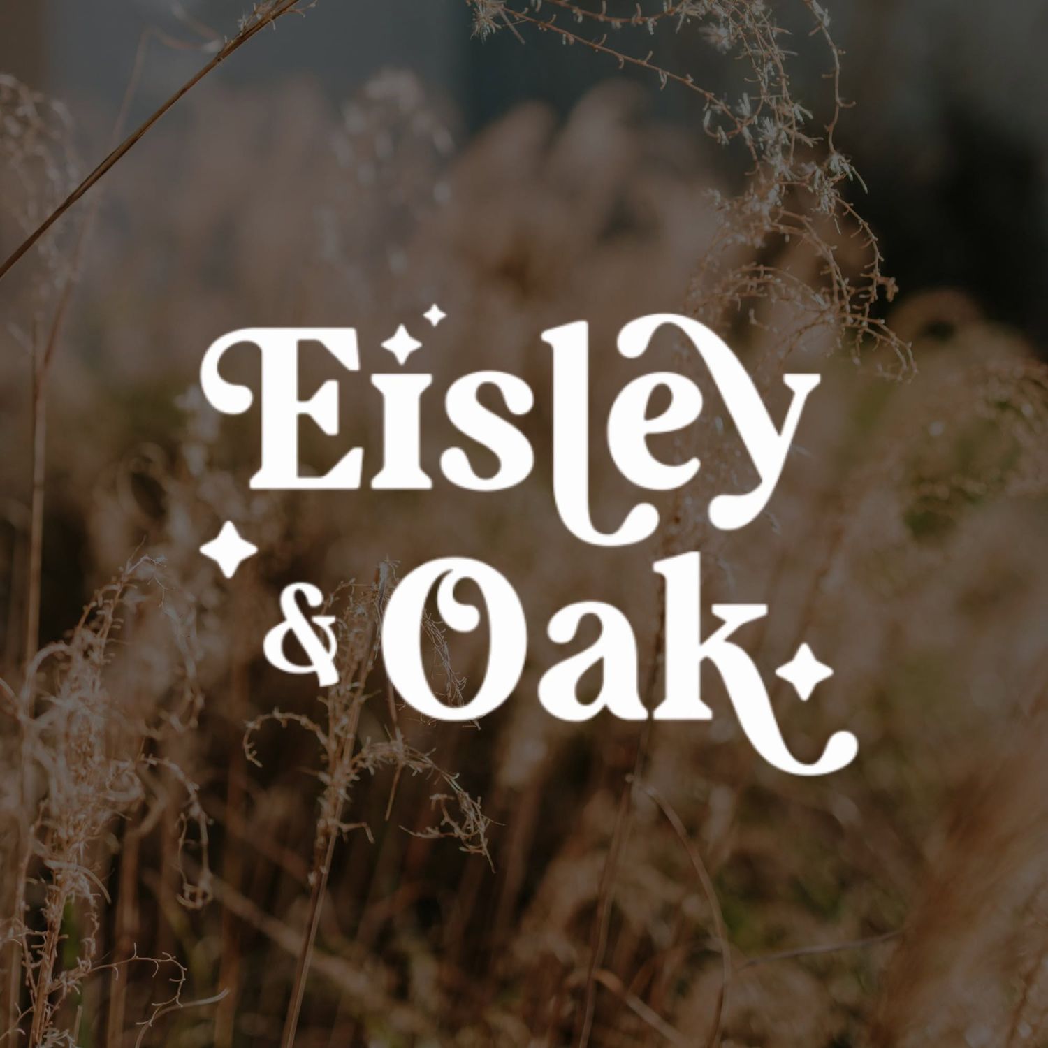 Eisley & Oak brand logo in white retro typography over a soft-focus background of golden dried grasses.