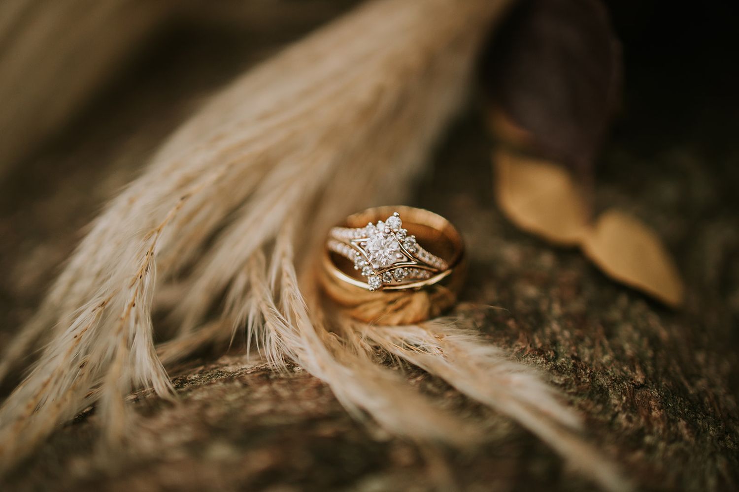 Diamond engagement ring sits delicately on a brown feather with soft bokeh background.