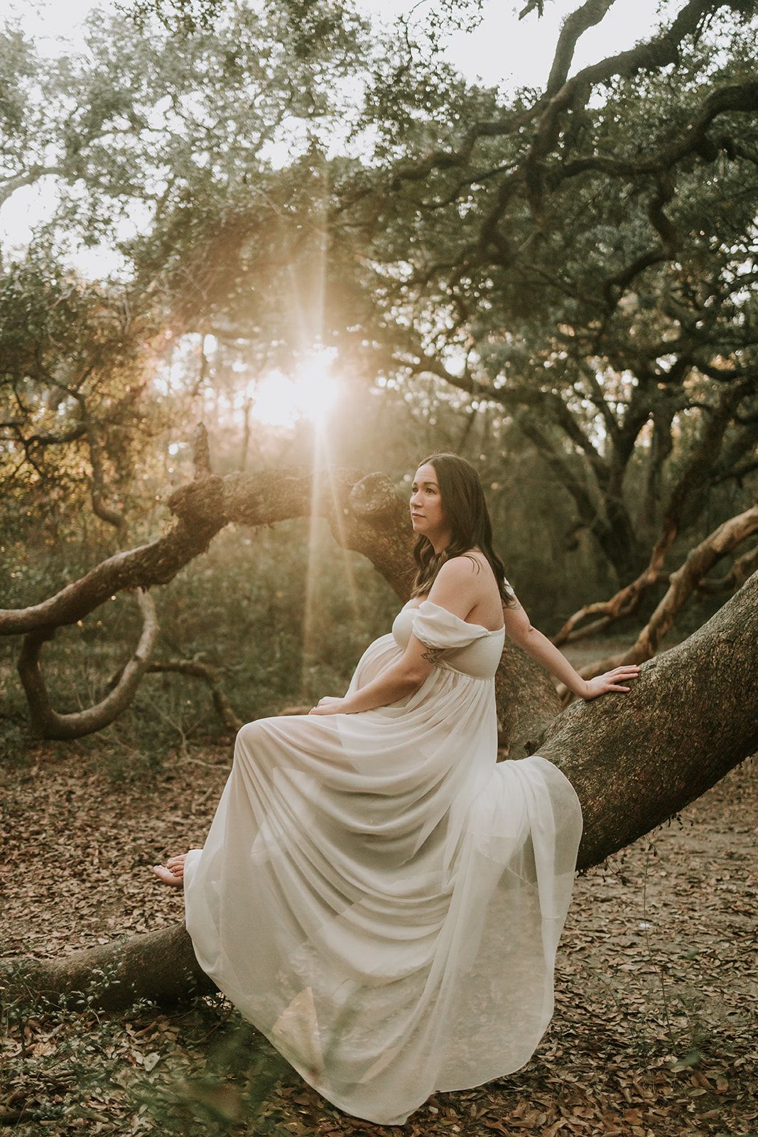 Dreamy maternity portrait with flowing white dress as subject sits on tree branch at sunset.