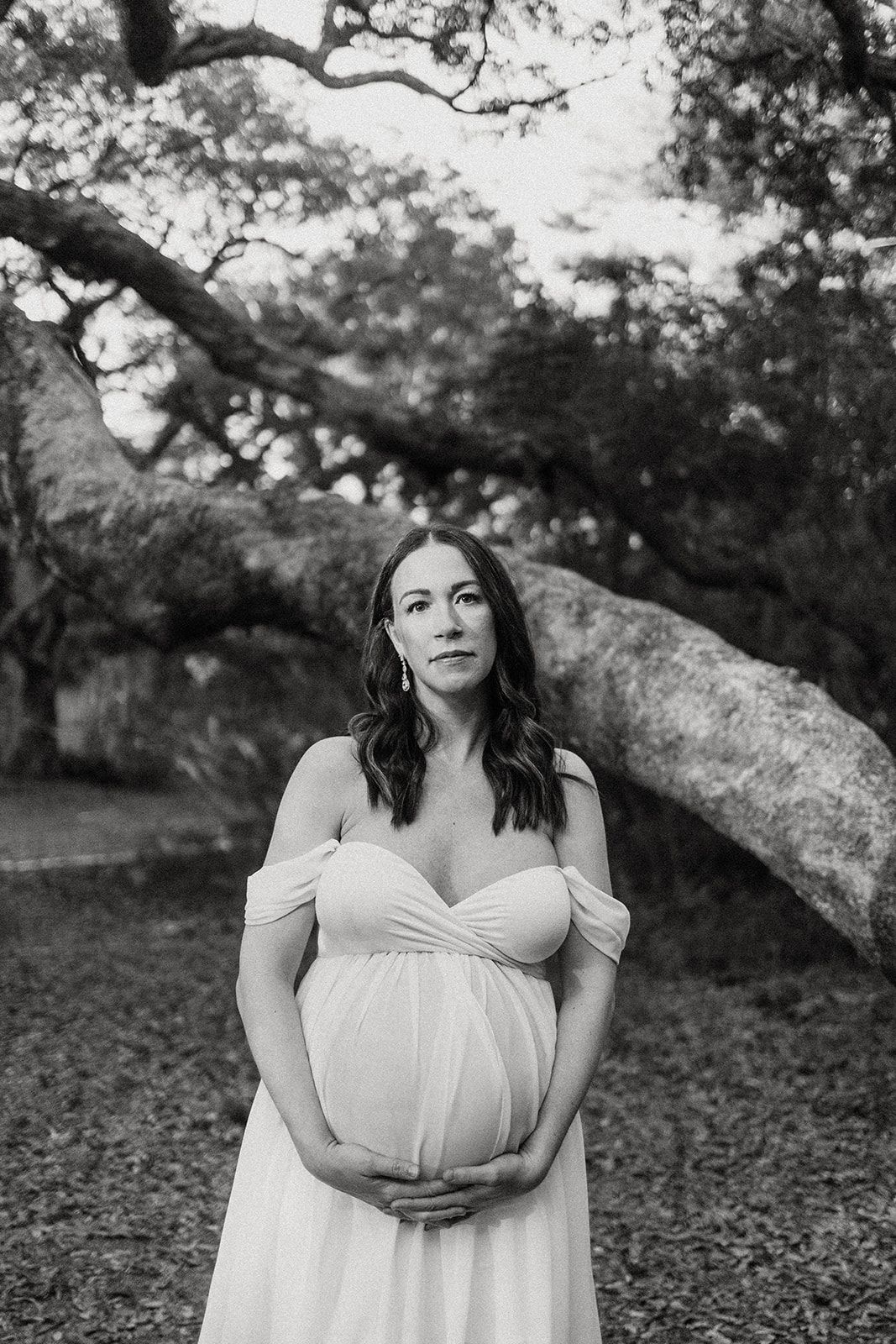 Black and white maternity portrait under a sweeping oak tree branch.