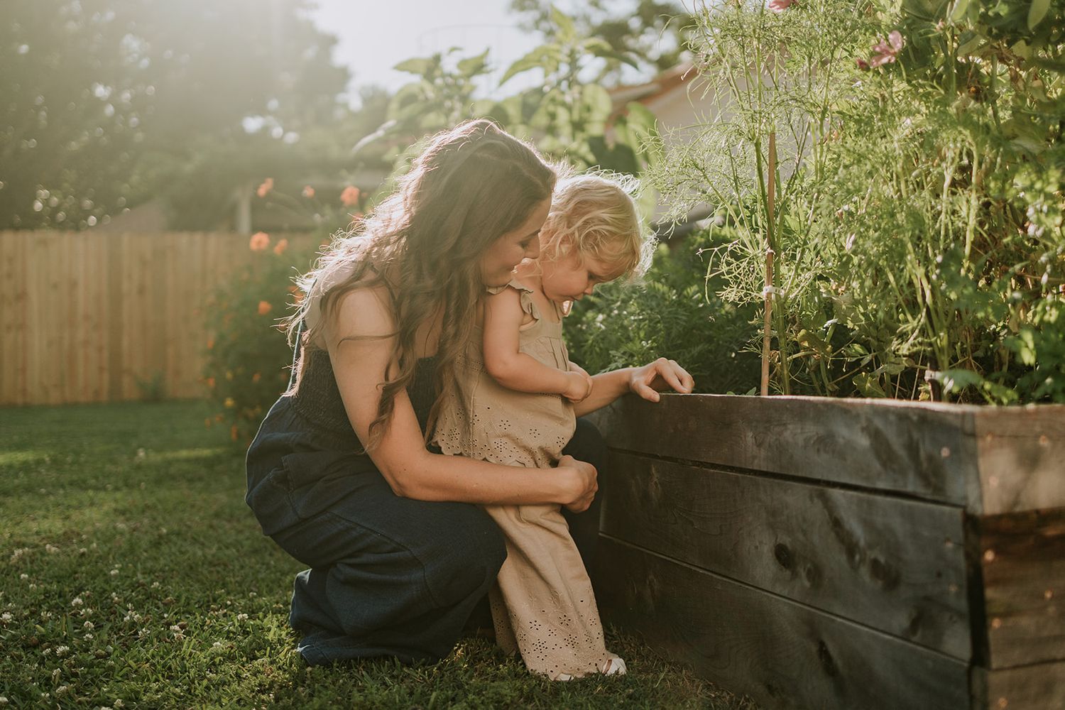 A sweet moment in a backyard garden as two figures examine plants in a raised wooden planter box at sunset.