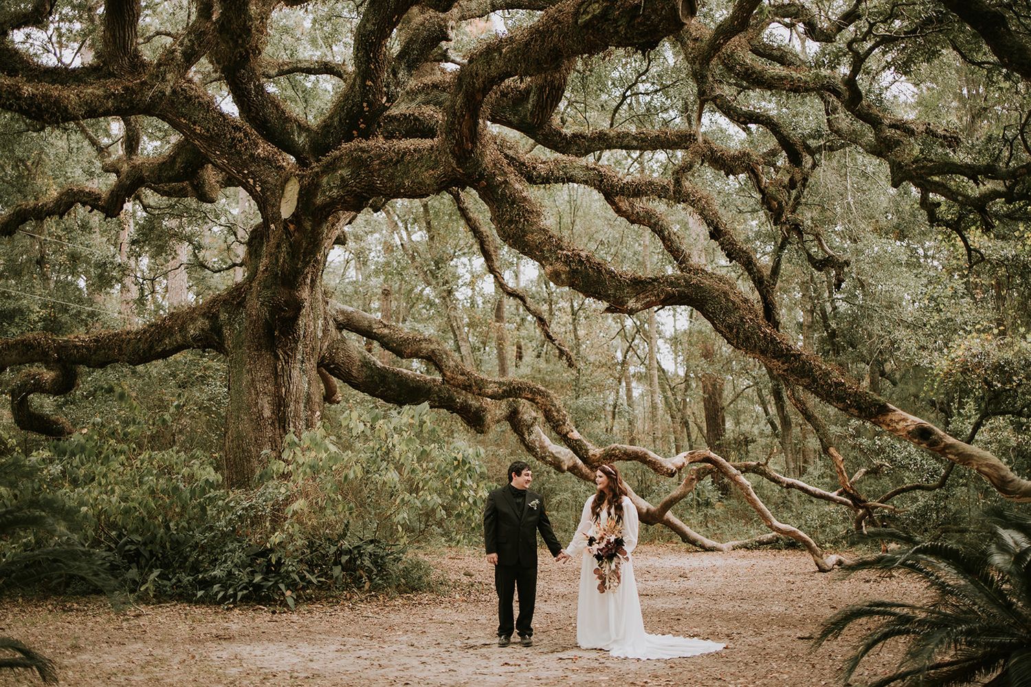 A couple walks beneath a majestic ancient oak tree with sprawling twisted branches covered in spanish moss.