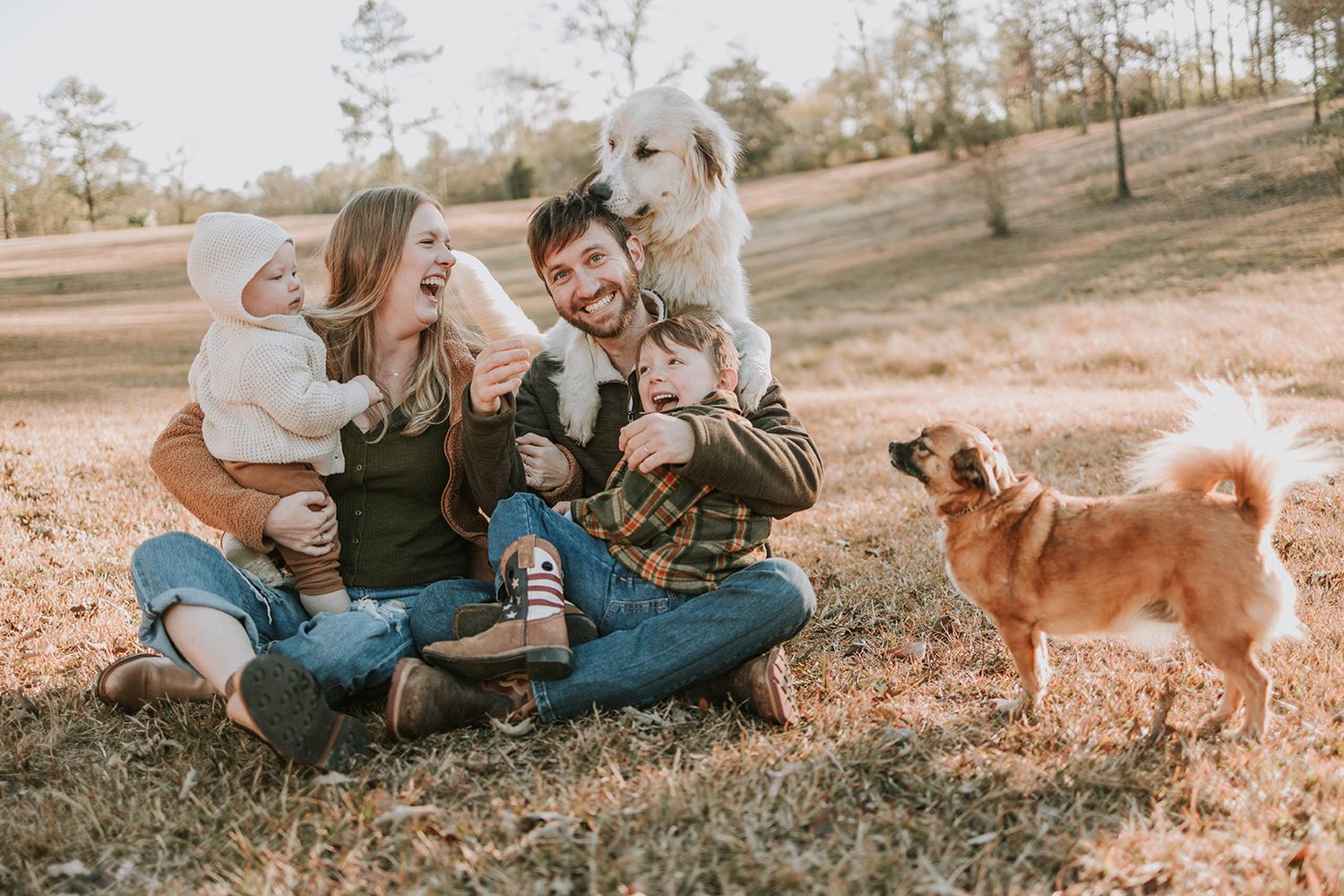 Couple sitting outdoors with baby and two happy dogs on sunny day.