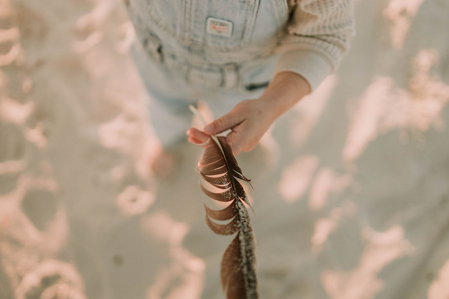 A small hand holding a delicate feather in soft, filtered light.