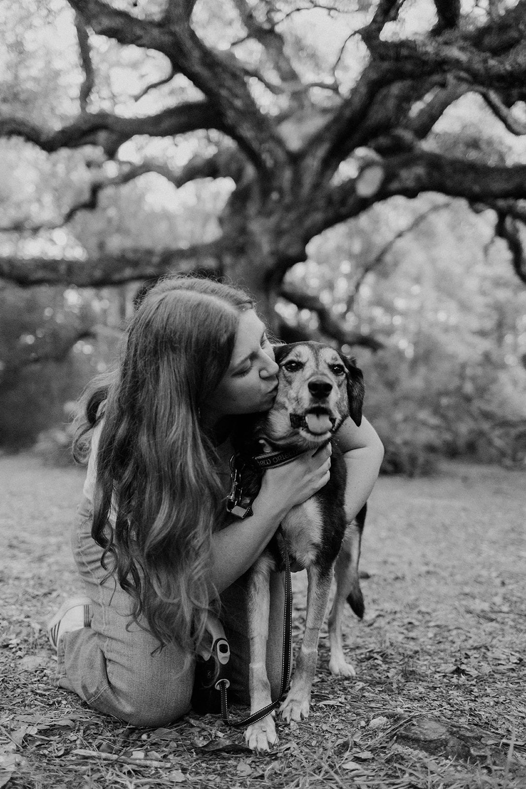 A tender black and white moment captured beneath a sprawling tree as someone embraces their dog in a loving pose.