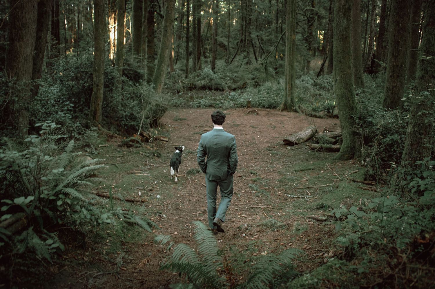 Groom in gray suit walks with border collie dog along forest path.