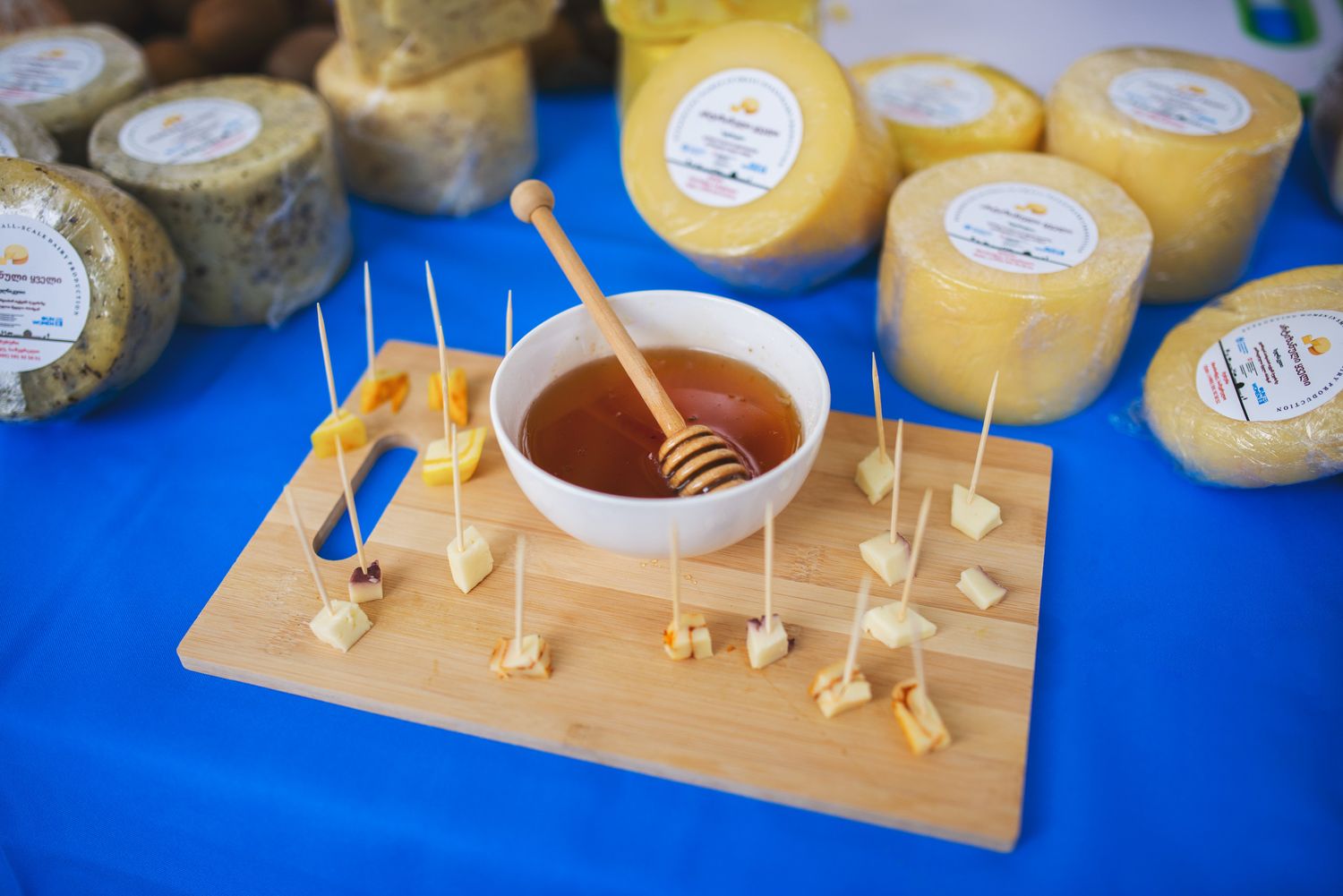Georgian cheese assortment with samples on a blue table at food exhibition.