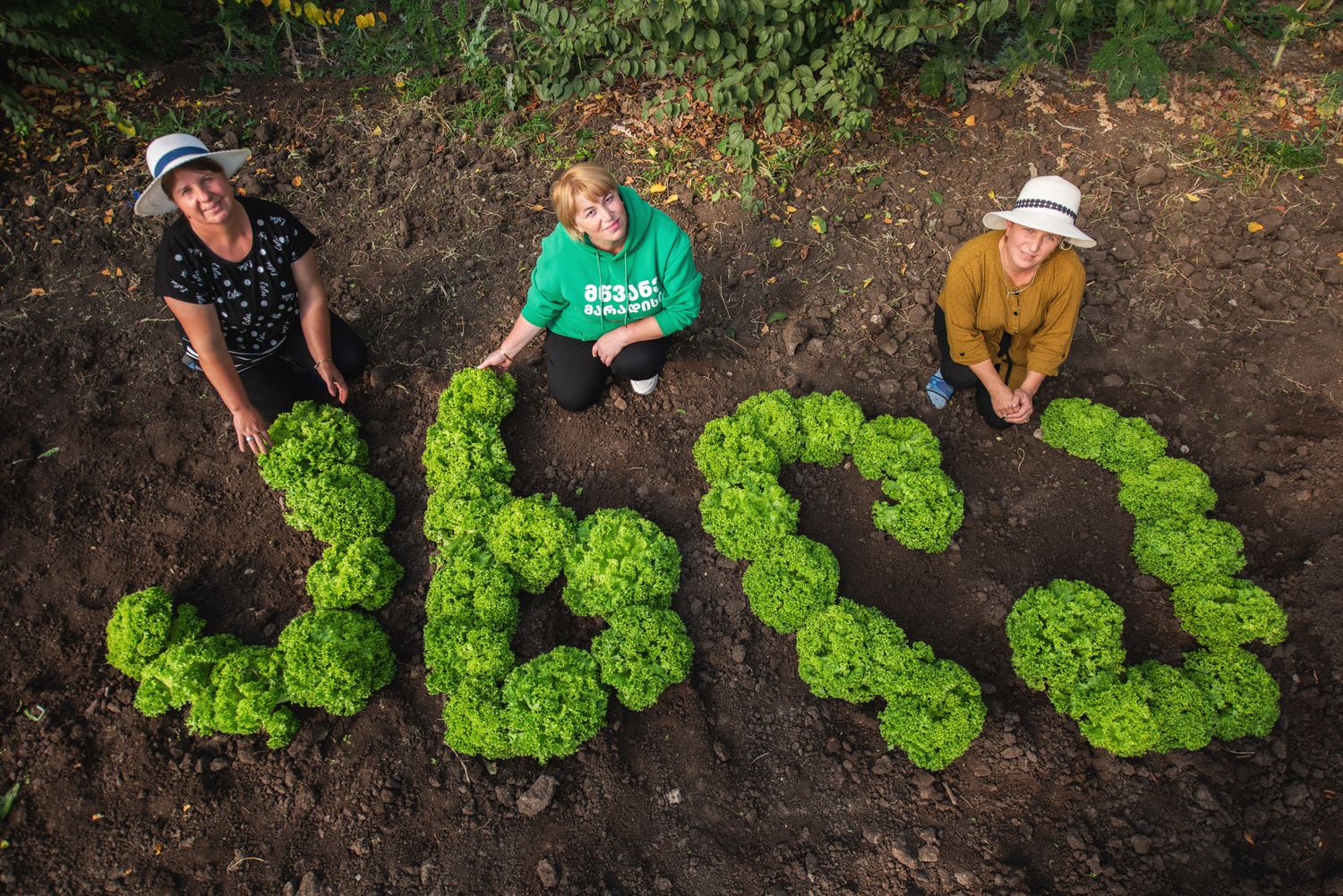 Three people posing beside green lettuce arranged on soil.