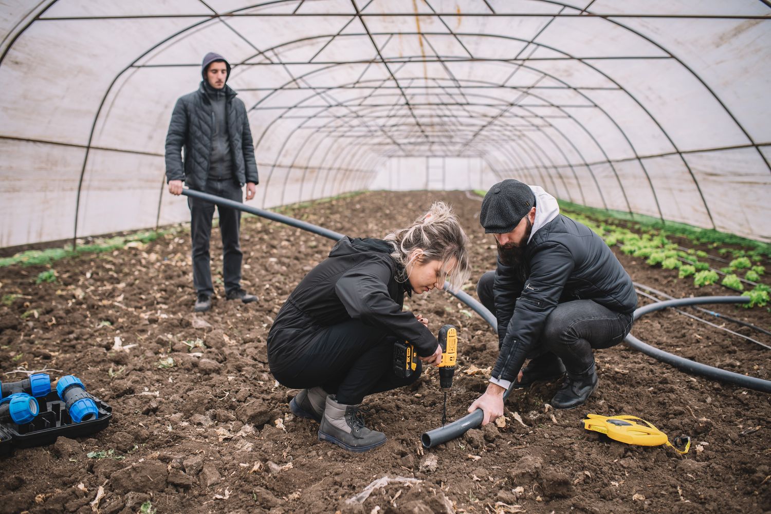 Farmers working inside a greenhouse planting crops in soil.