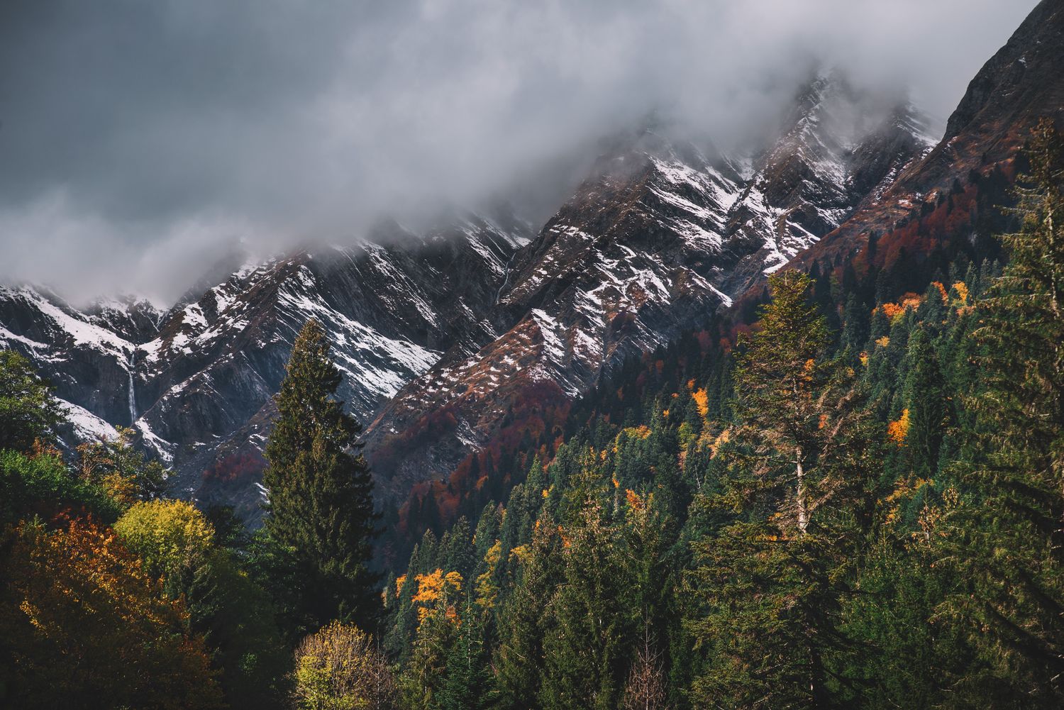 Dramatic snow-capped mountain peaks with swirling clouds and dark evergreen slopes.