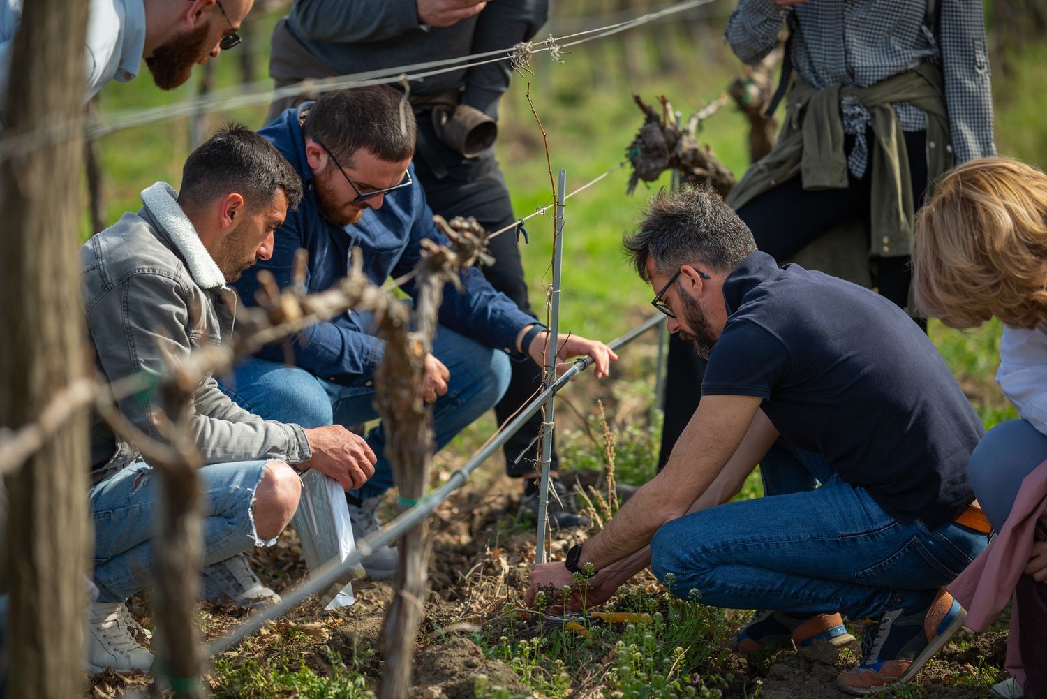 Group of volunteers working together on a sustainable farming project in a rural area.
