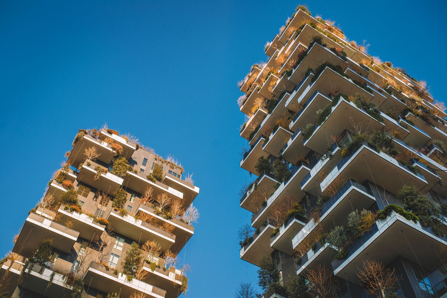 Modern vertical forest towers with lush greenery on balconies — sustainable urban architecture.