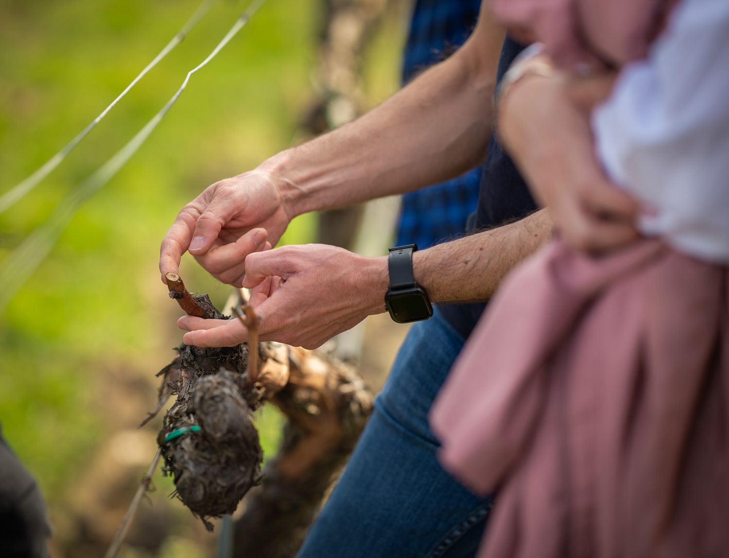 Hands planting young seedlings in a garden during a community farming workshop.