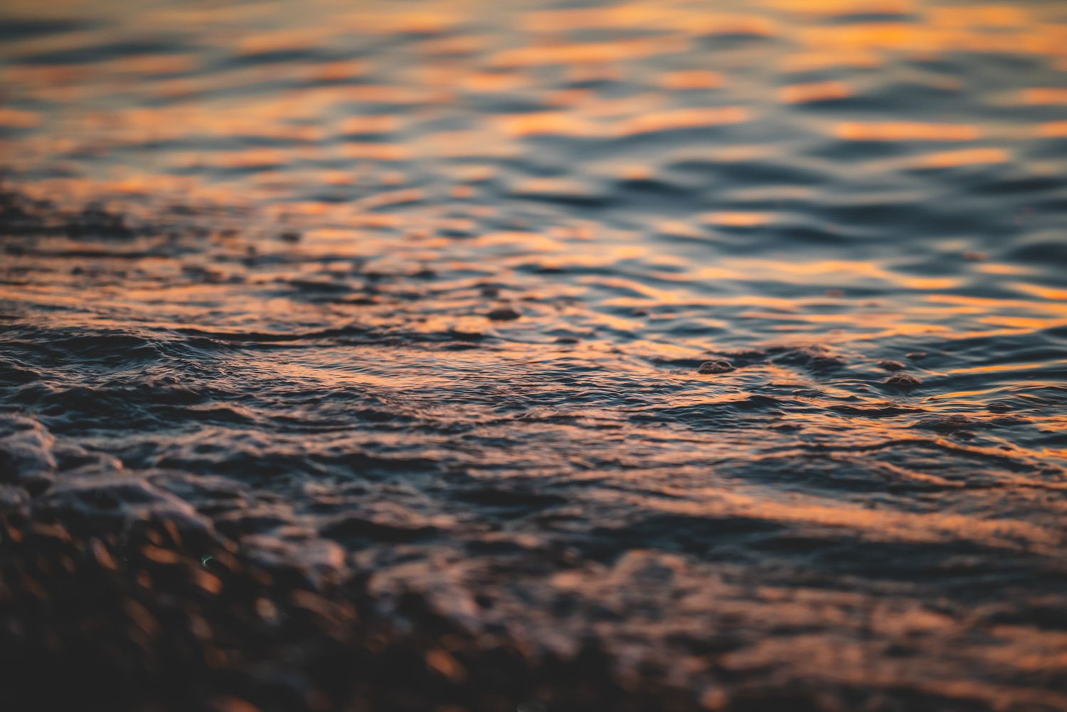 Close-up of gentle ripples on a sunlit water surface — soft light and texture emphasis.