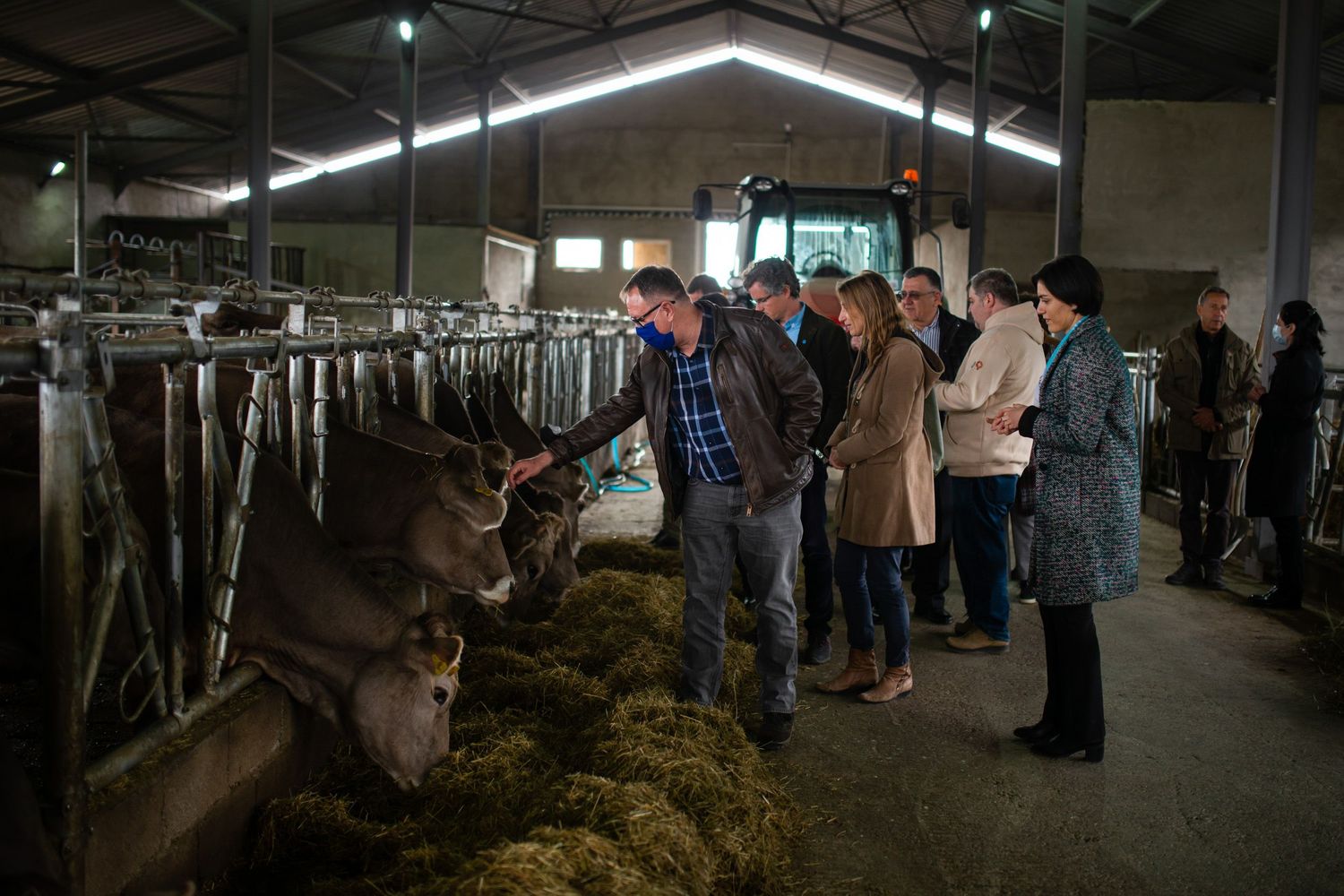 Tour group observing dairy cows inside a large-scale livestock facility.