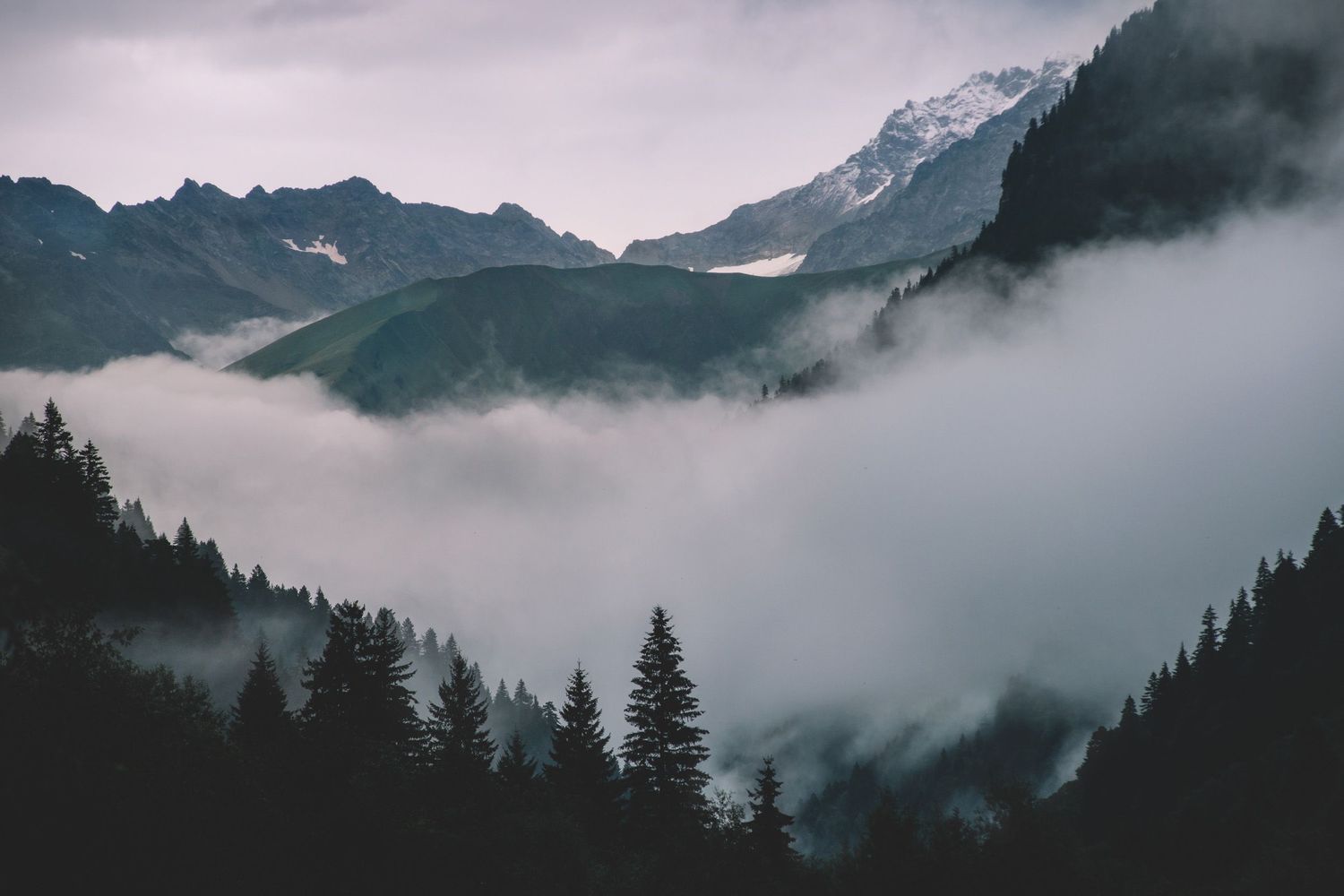 Mountain peaks emerging through layers of mist — early sunrise view over the Caucasus landscape.