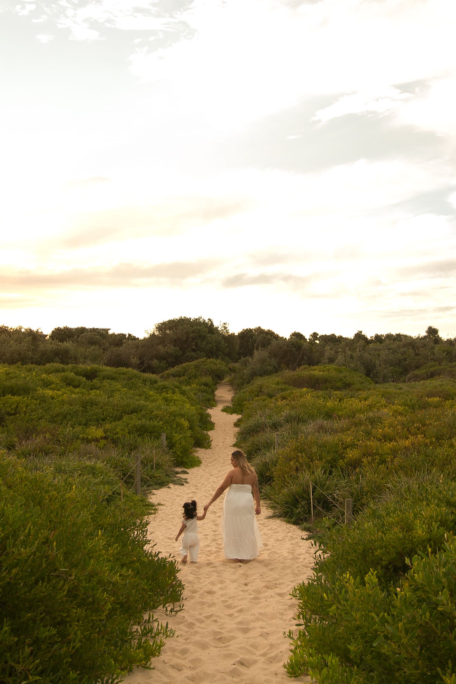 Sandy path through coastal vegetation leads to ocean view at sunset.