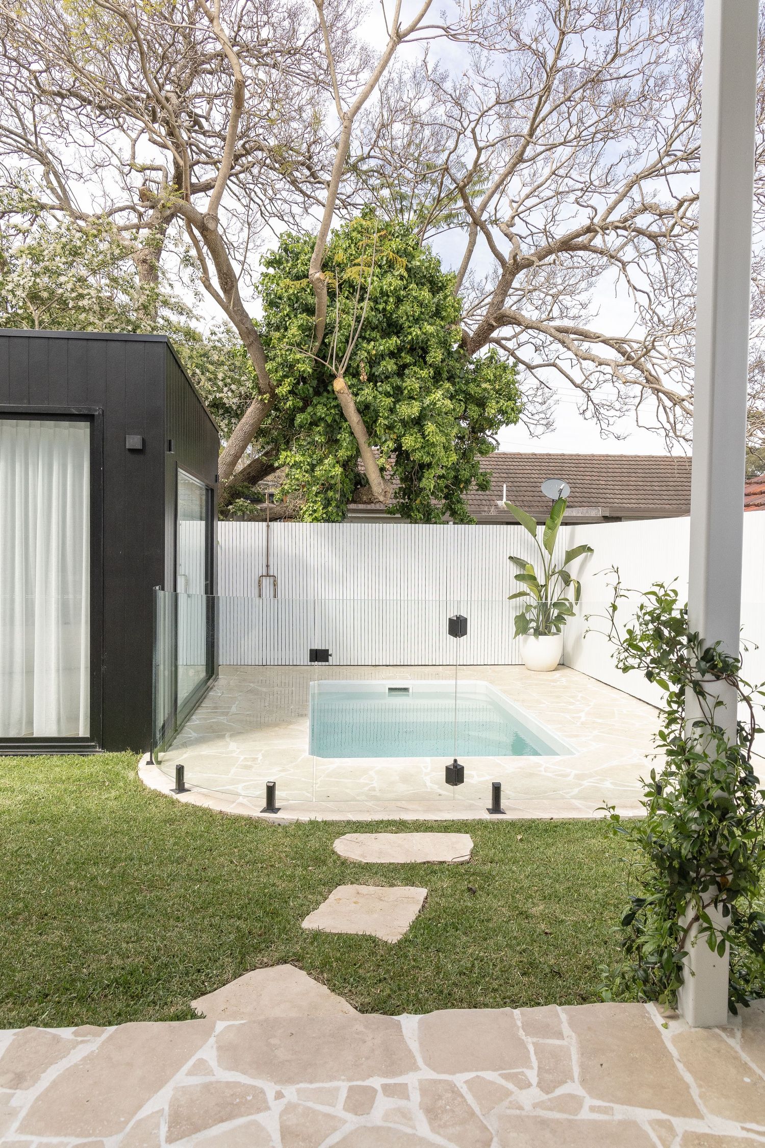 Small backyard with plunge pool, stepping stones, and modern landscaping.