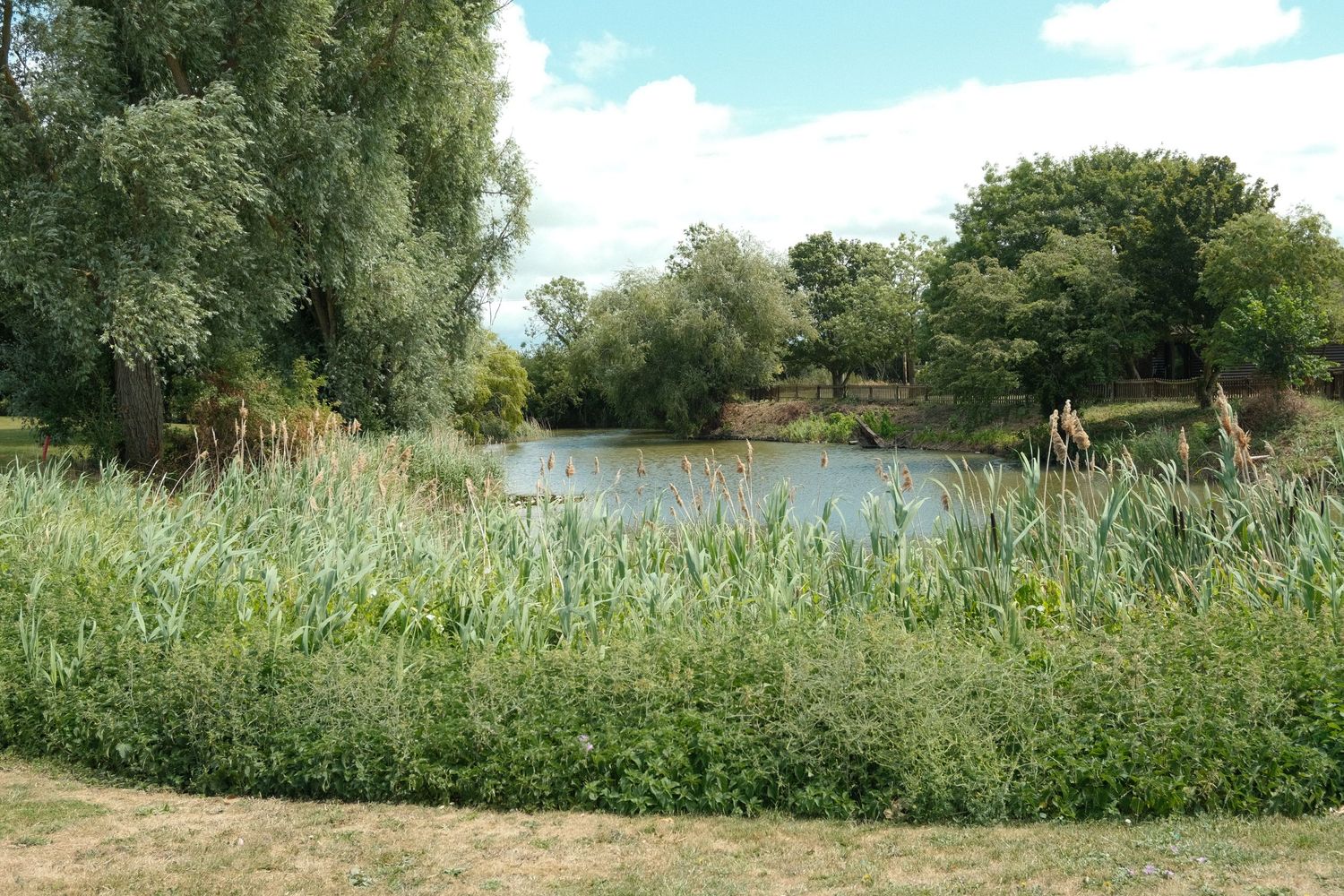 Panoramic view of a lush green landscape with trees and blue sky.