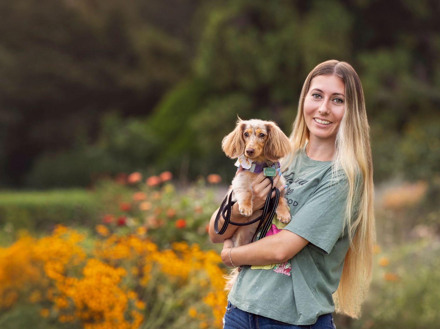 Woman holds her miniature Dachshund surrounded by yellow flowers at UT Gardens during pet photography session in Knoxville TN