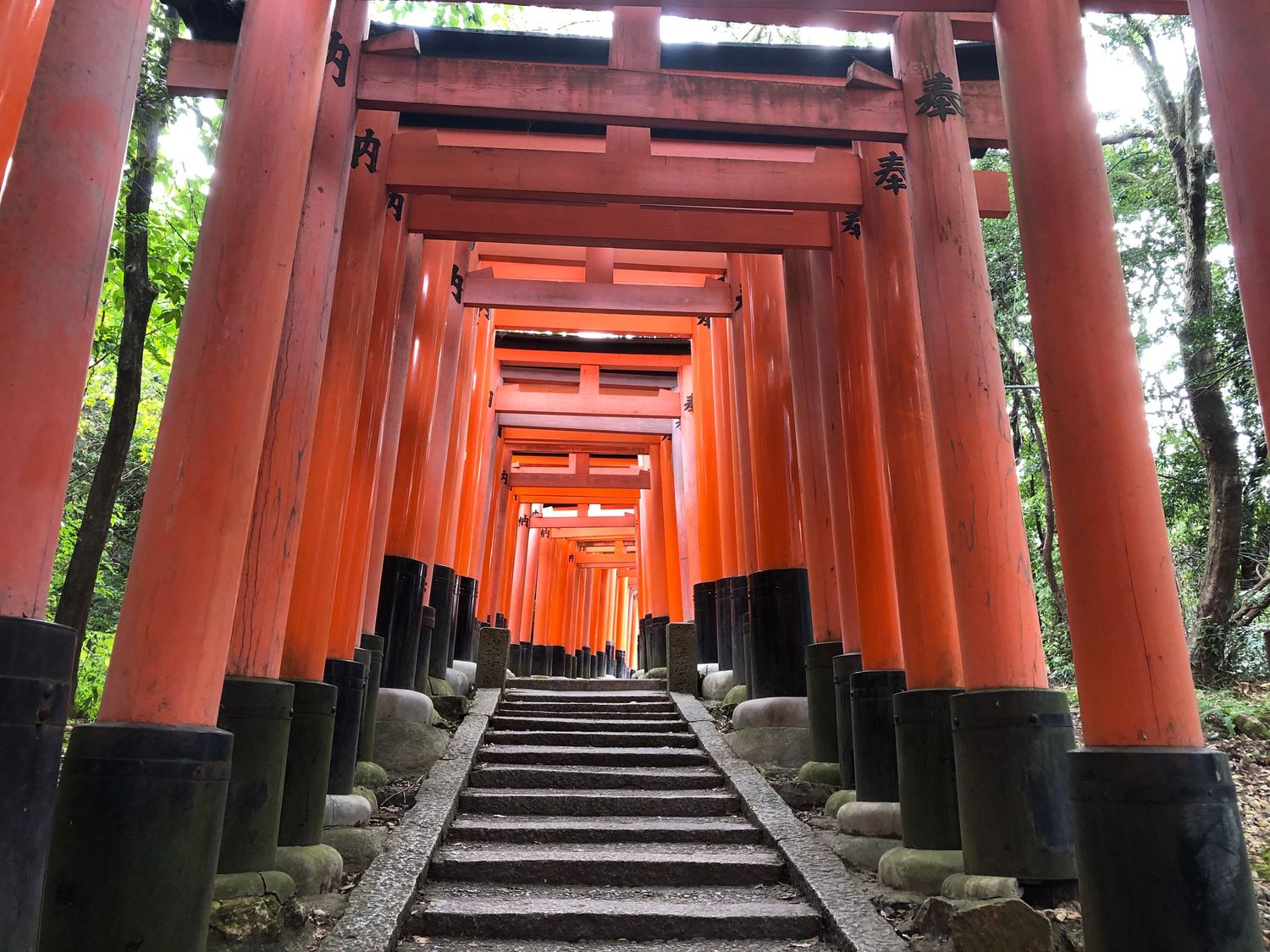 Iconic red torii gates forming a tunnel pathway at Fushimi Inari Shrine in Kyoto.