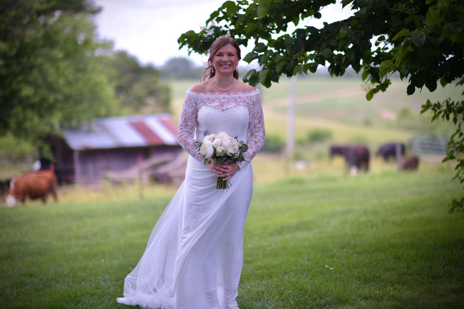 A bride in an elegant lace-sleeved wedding gown holds a bouquet on a farm with cattle grazing in the background.