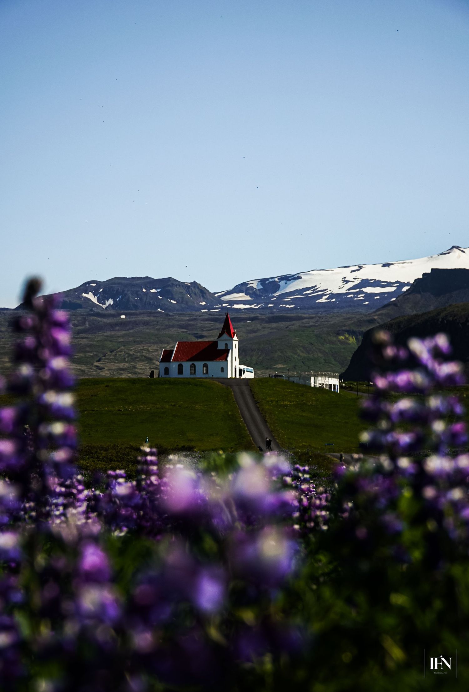 White church with red roof amid purple lupine flowers, snow-capped mountains in background, Iceland landscape photography.