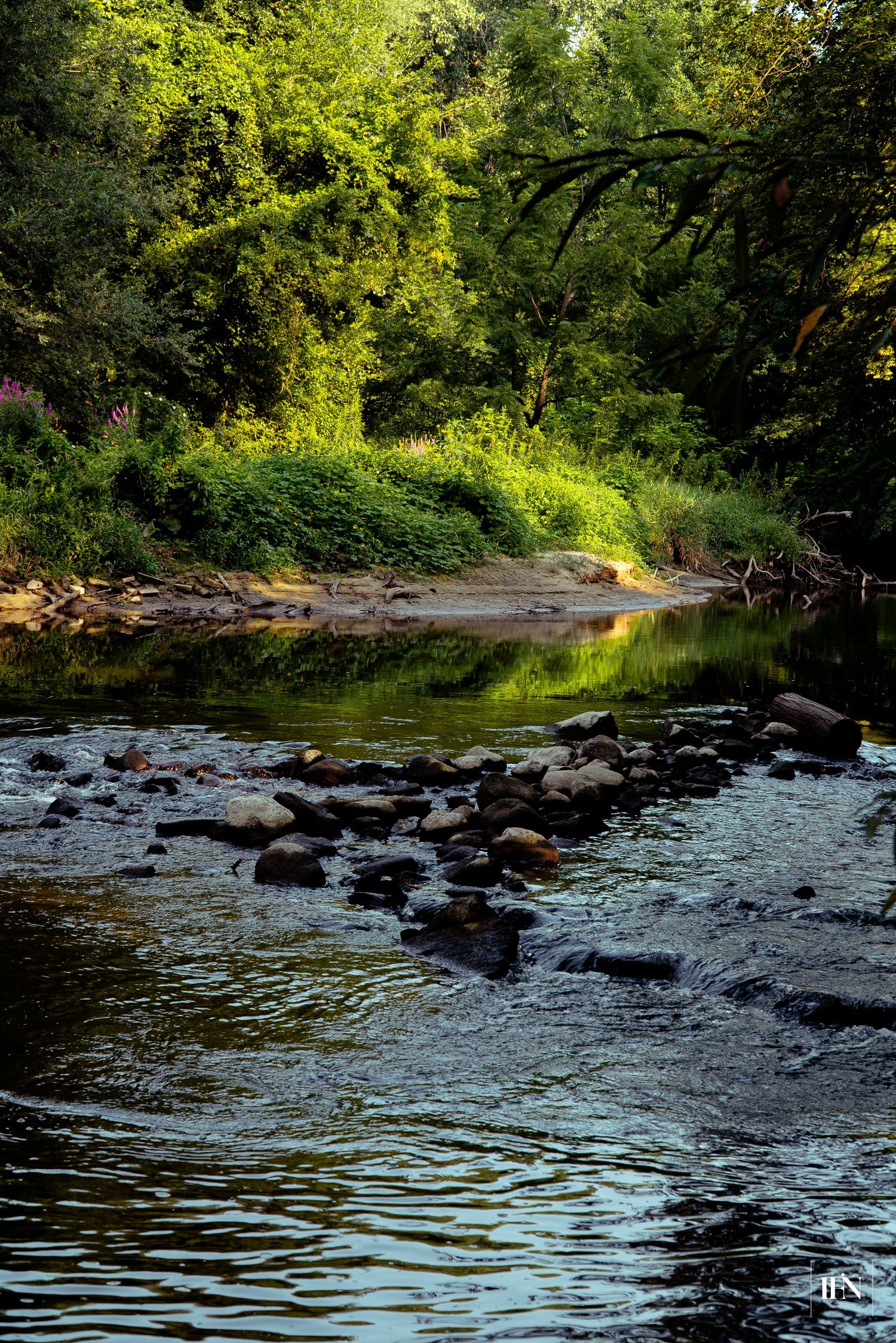 A serene forest stream with smooth rocks, lush green trees, and calm reflective water in a peaceful natural setting.