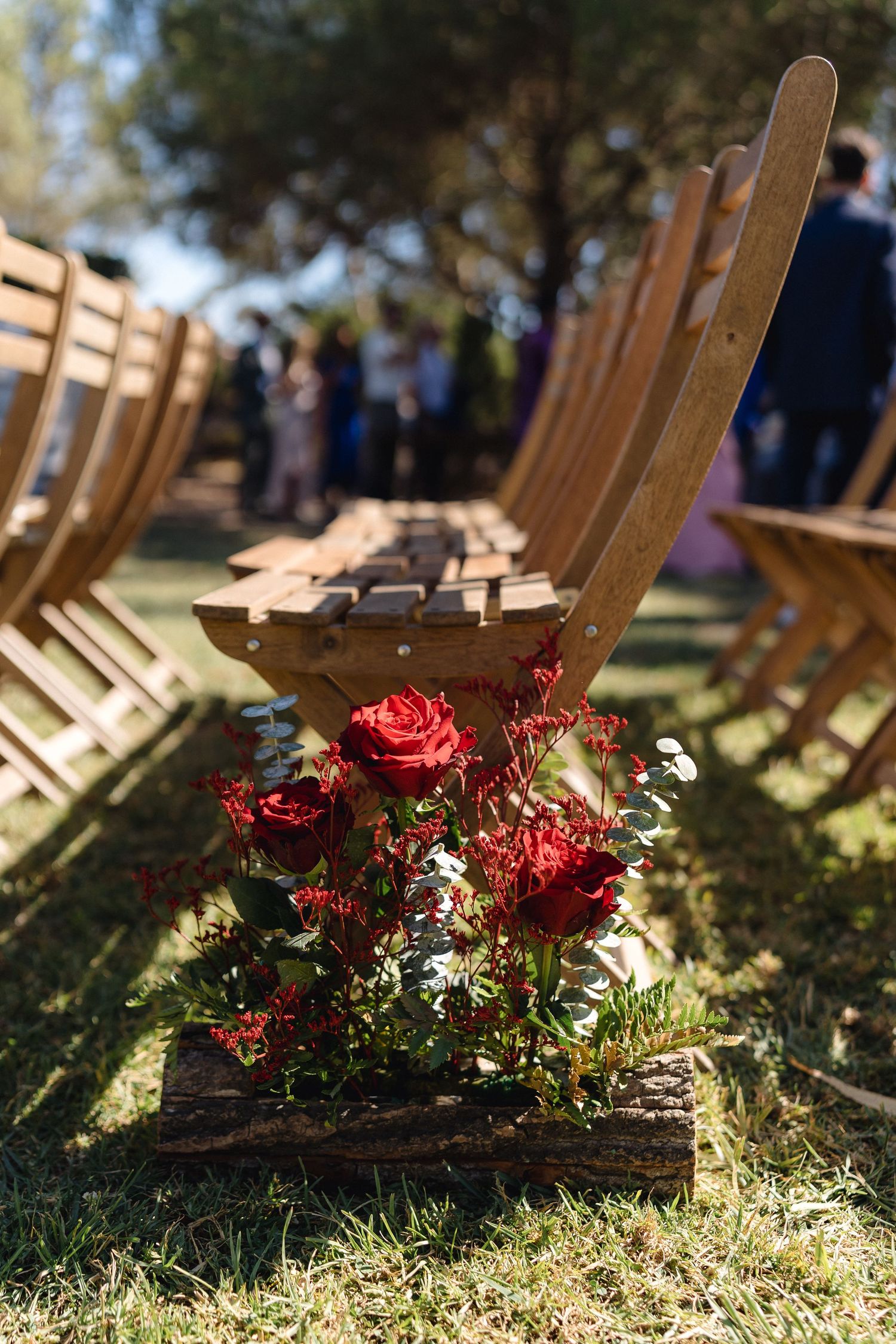 Row of wooden folding chairs with red floral decorations in dappled sunlight.