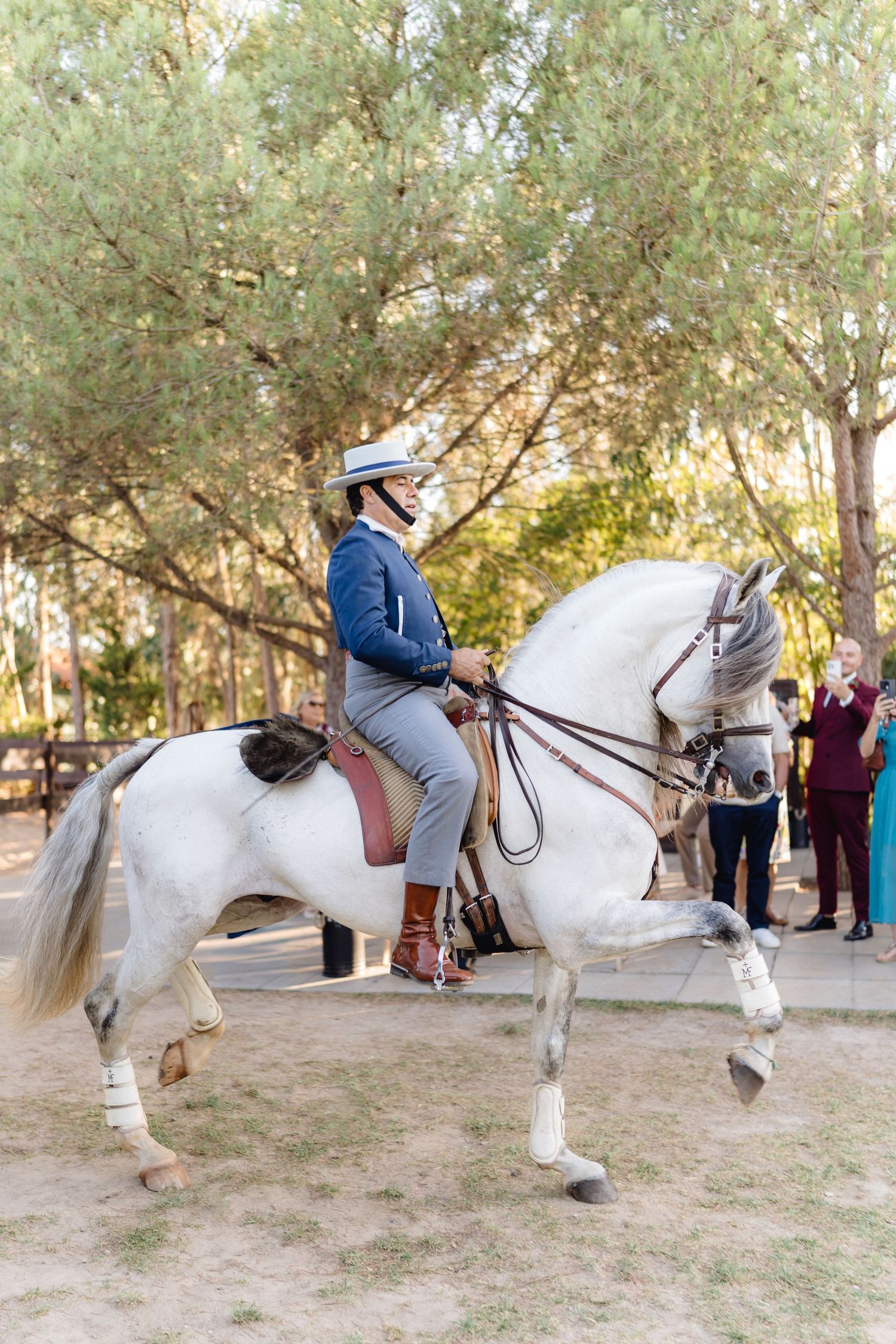 A majestic white horse performs dressage movements in a natural outdoor setting.