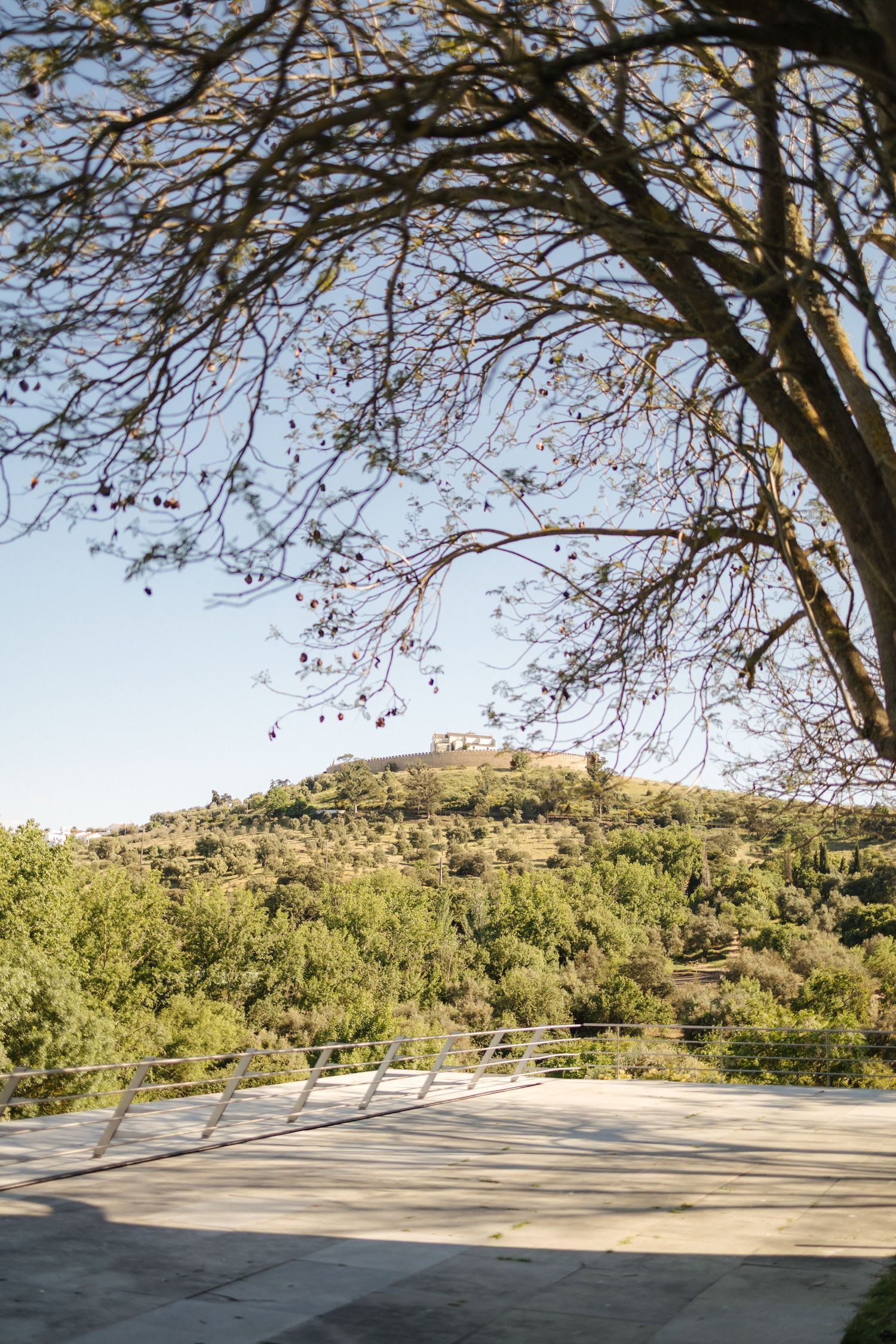 Scenic hilltop terrace view with tree branches framing the landscape.
