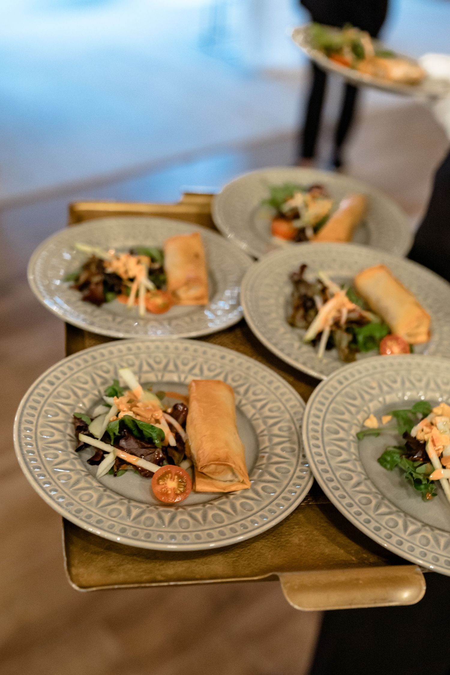 Elegant plated appetizers featuring spring rolls and salads served on decorative patterned dishes.