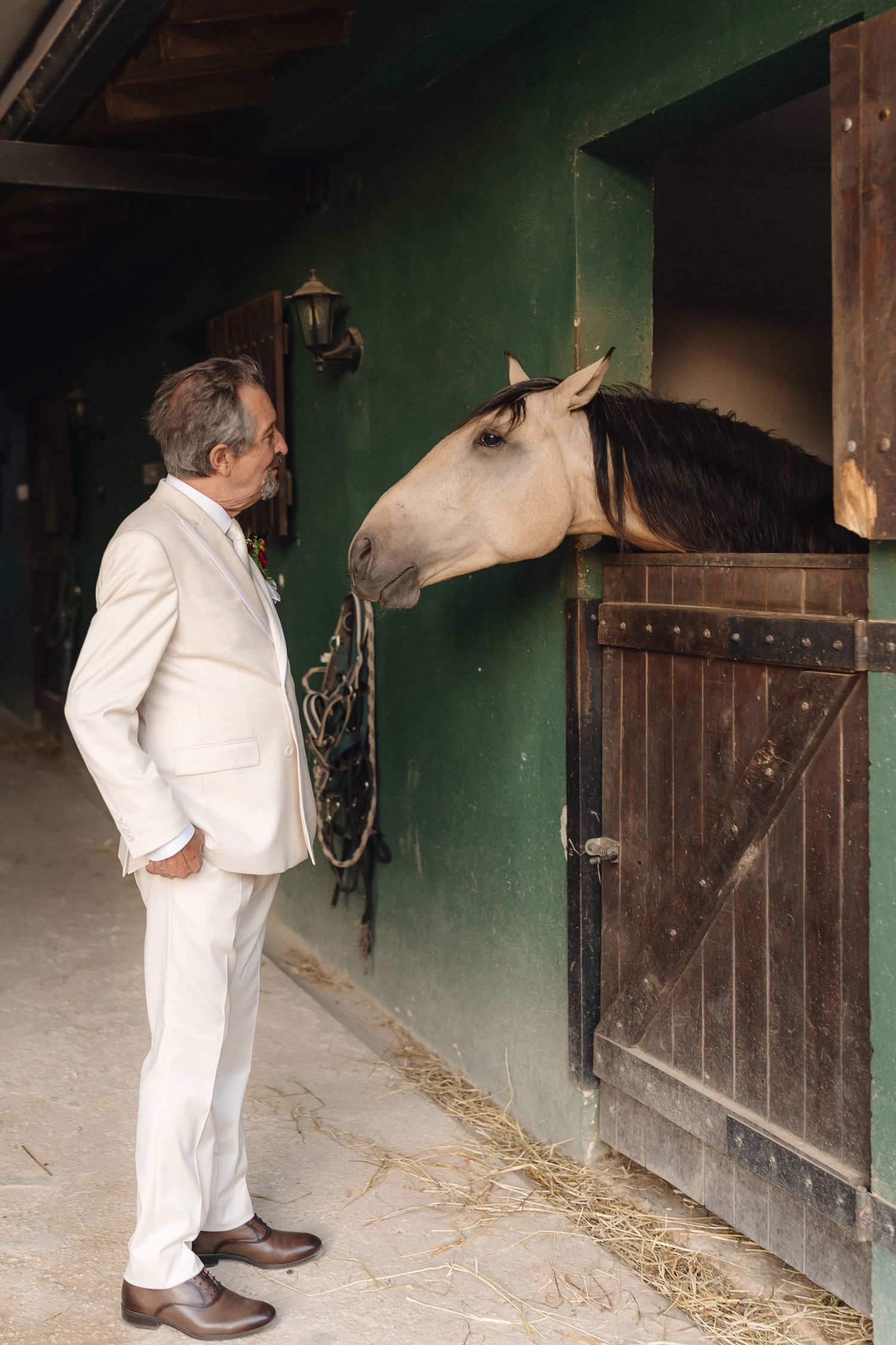 A person in white clothing interacts with a curious horse in a stable.